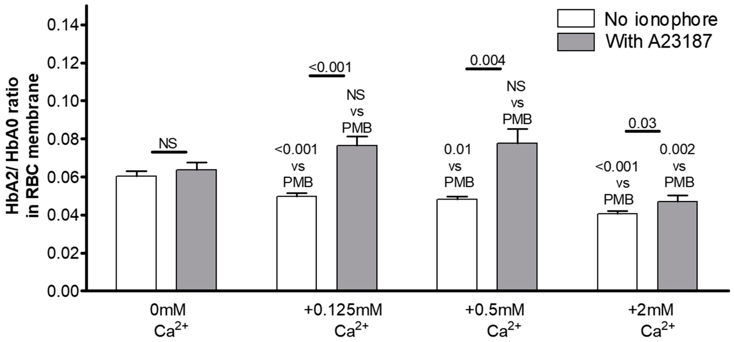 Cells 12 02280 g007 Cells 12 02280 g007