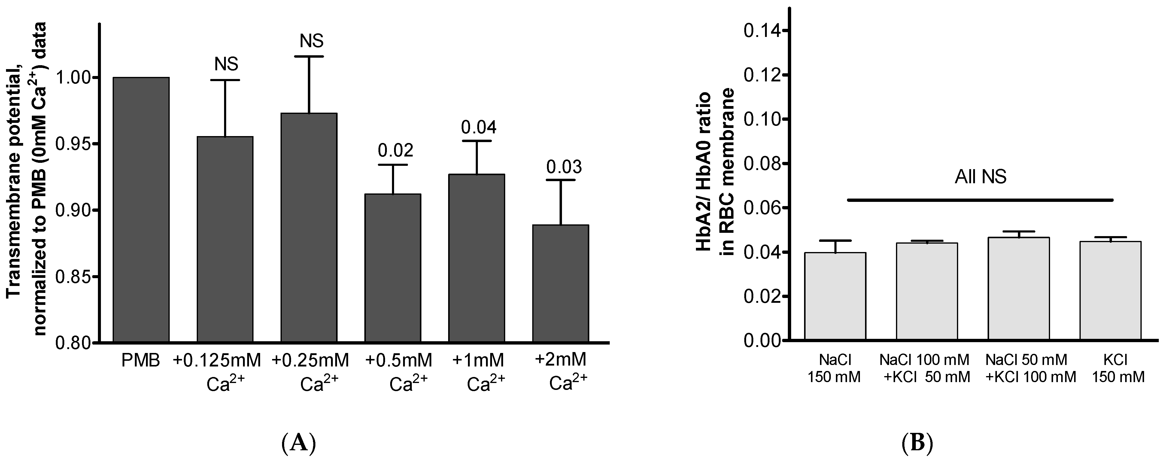 Cells 12 02280 g008 Cells 12 02280 g008