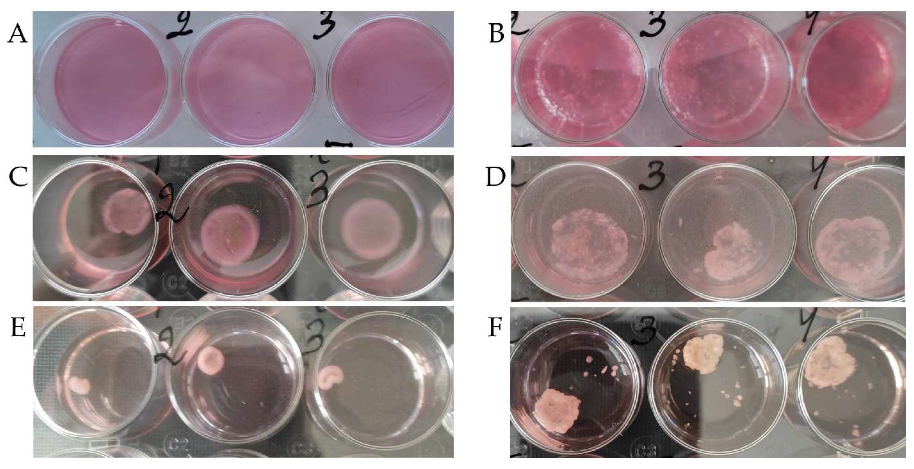 Cells 12 02335 g002