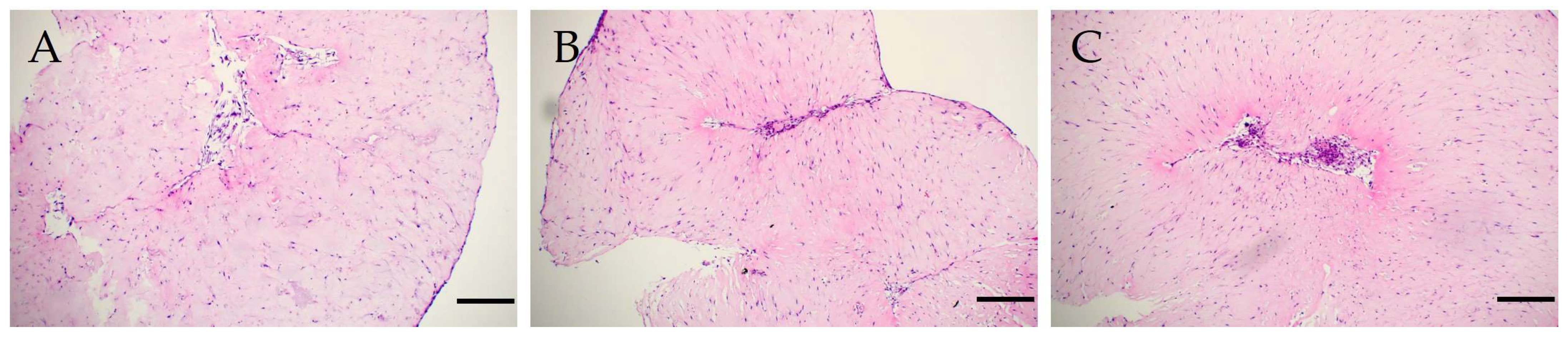 Cells 12 02335 g003