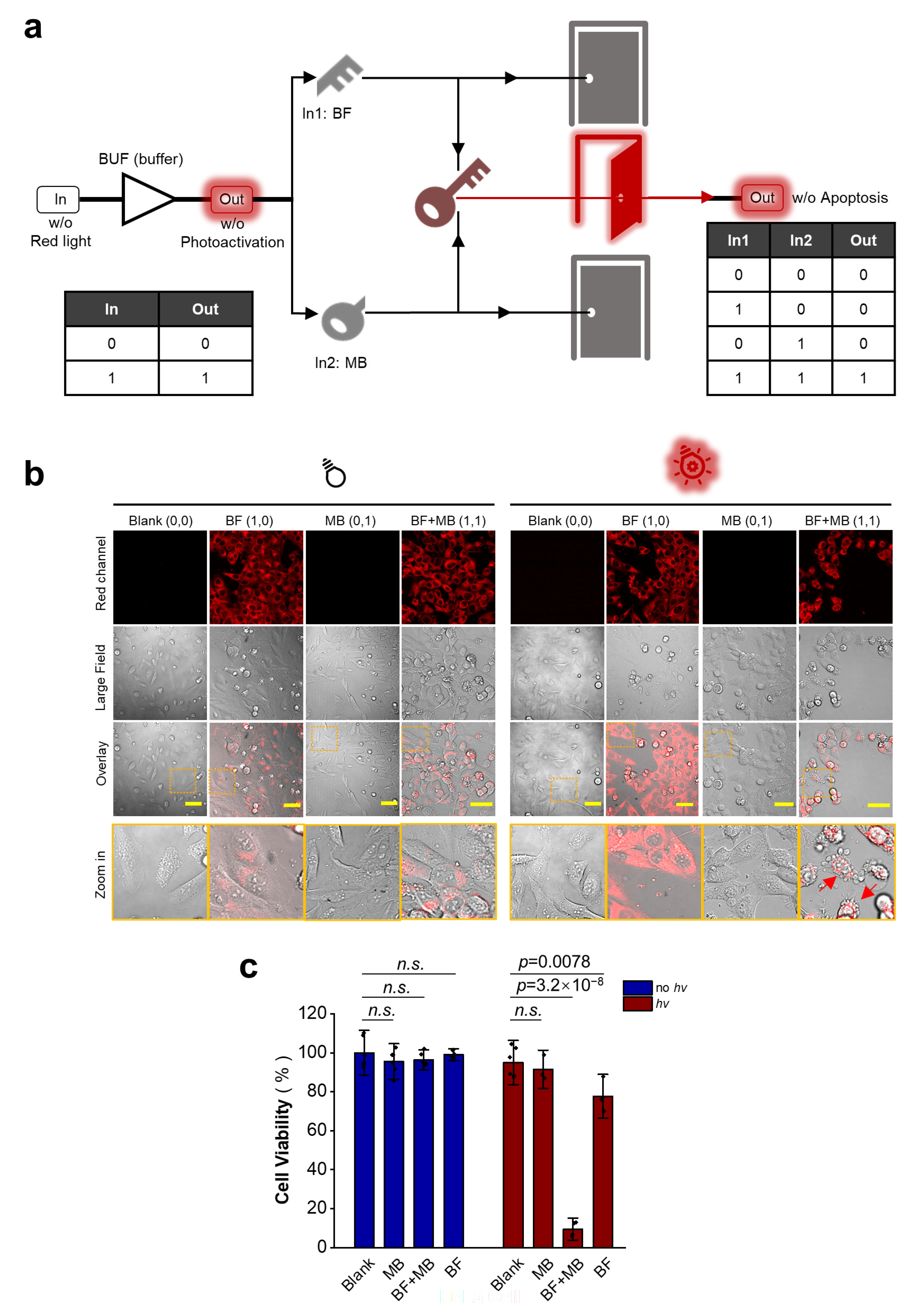 Cells 12 02351 g004