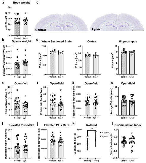 Cells | Free Full-Text | Regulation of Microglial Signaling by Lyn