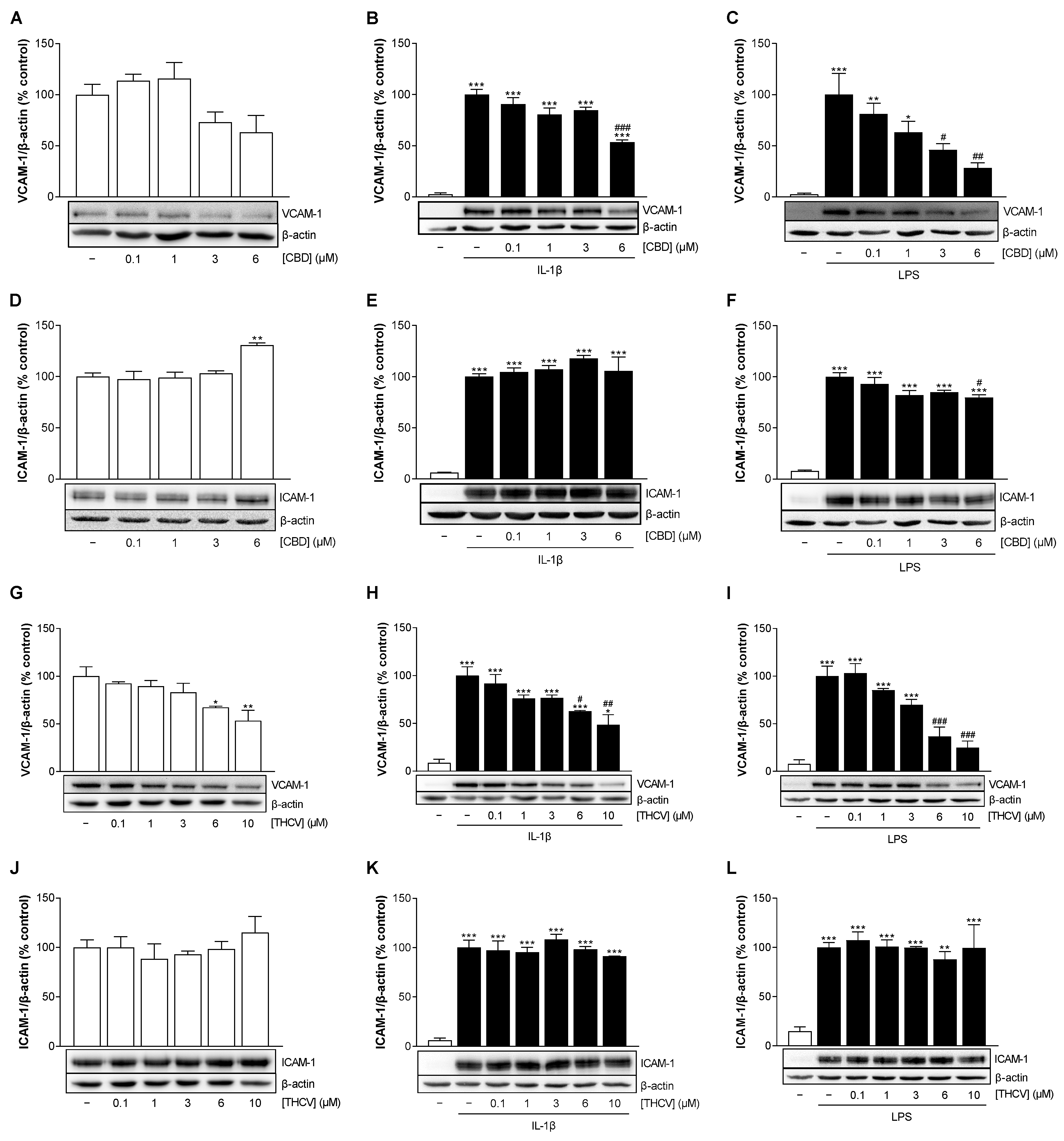 Cells 12 02389 g004 Cells 12 02389 g004
