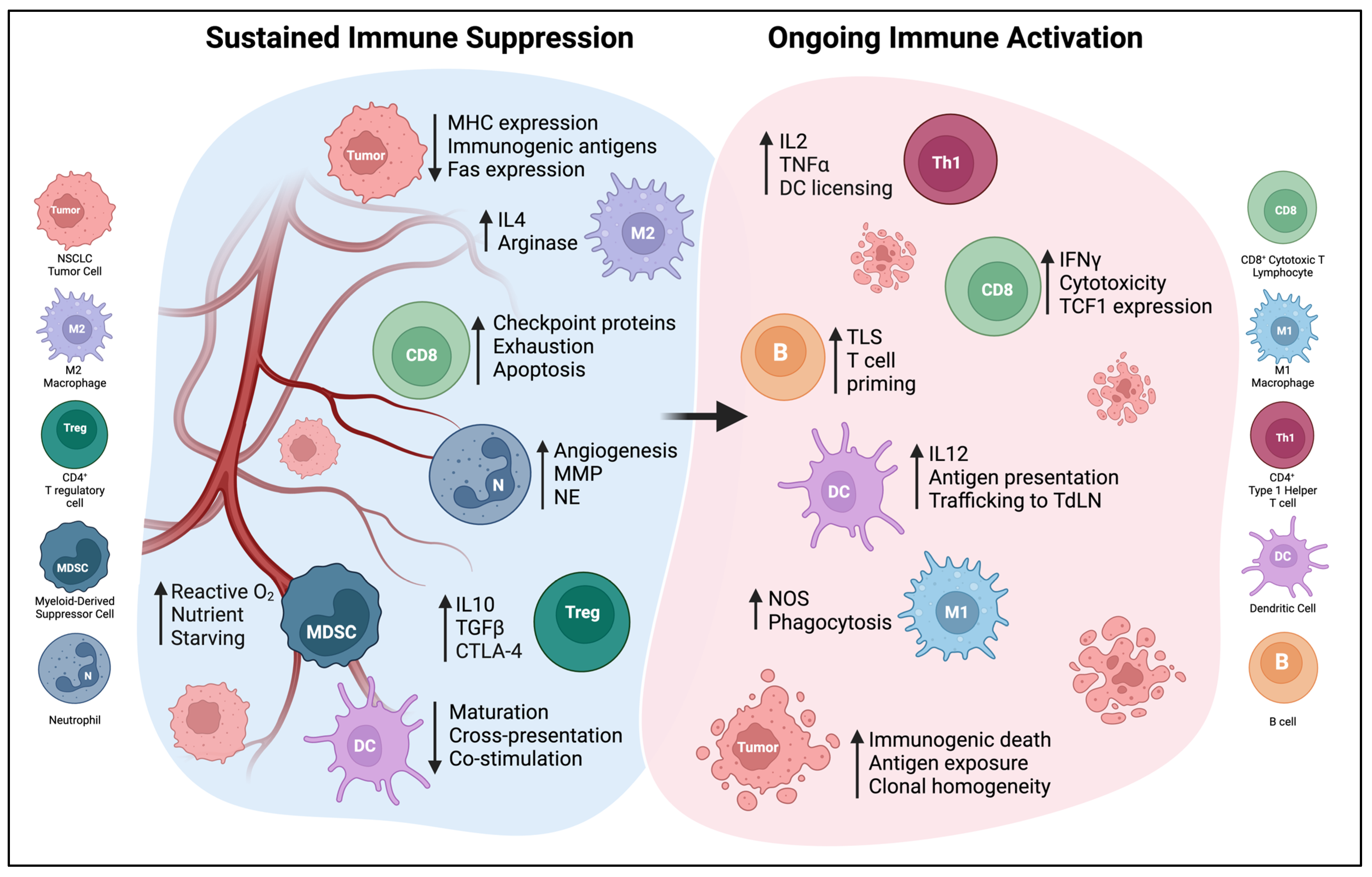 Cells 12 02404 g002 Cells 12 02404 g002