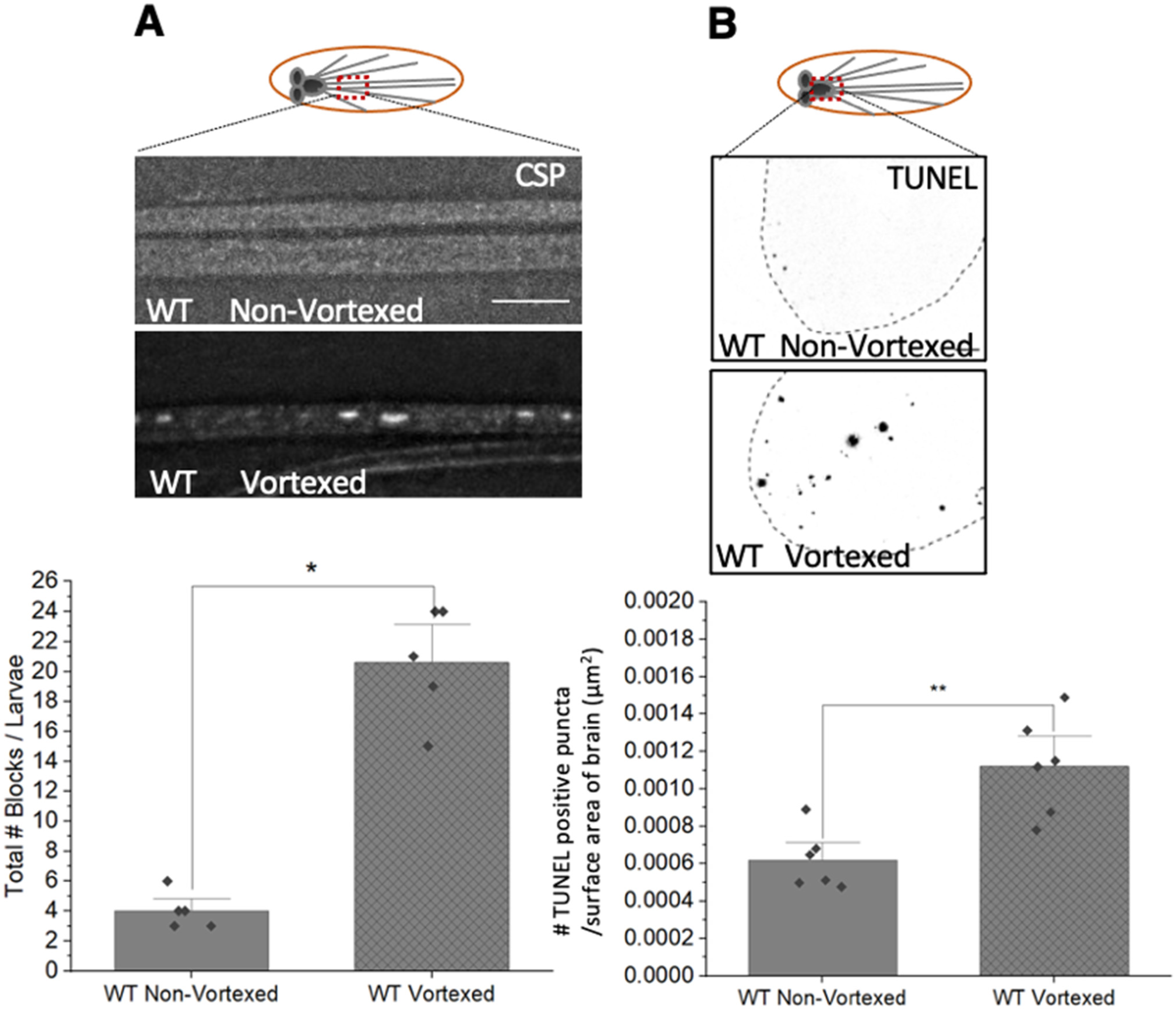 Cells 12 02406 g010a