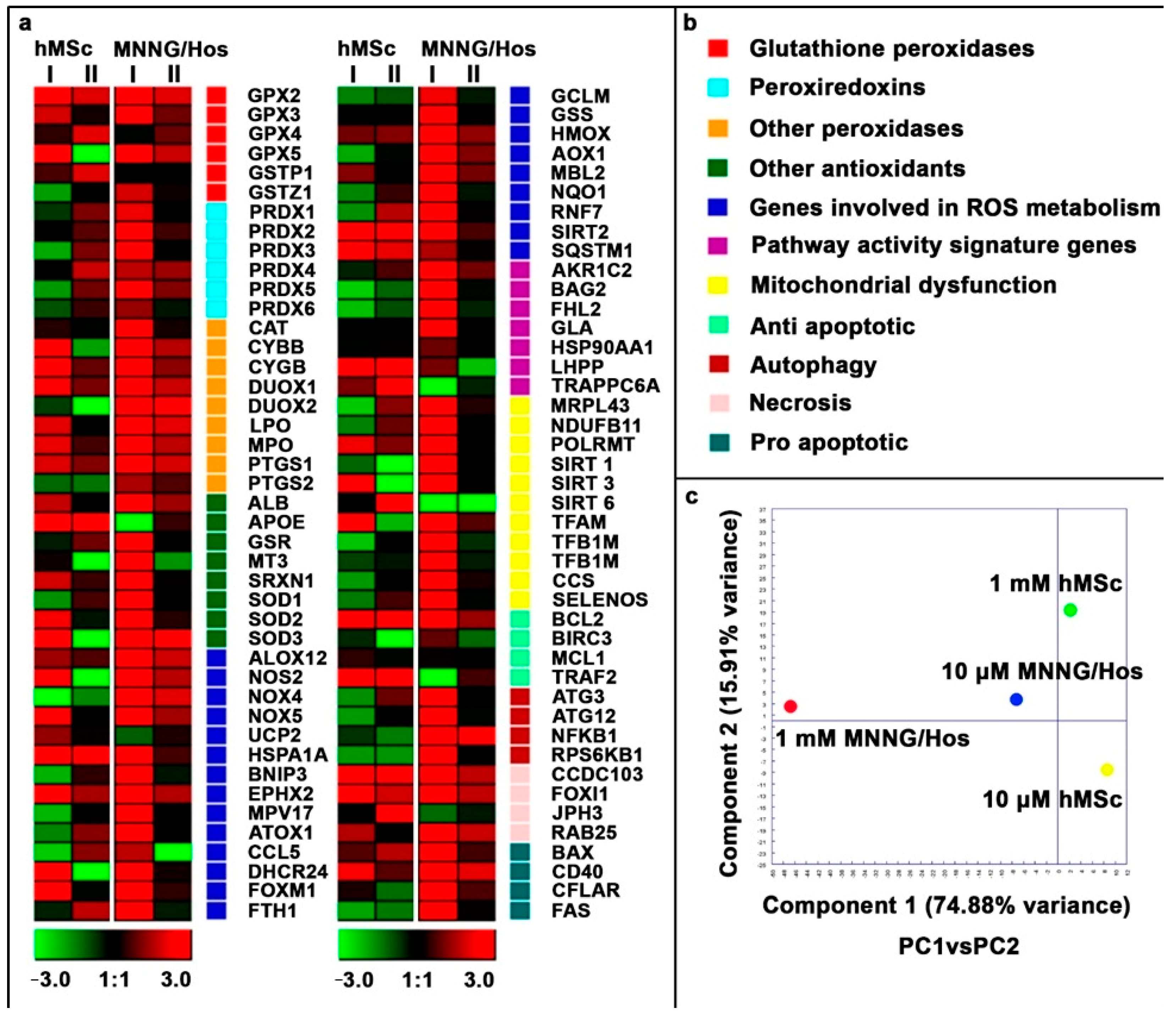 Cells 12 02416 g007