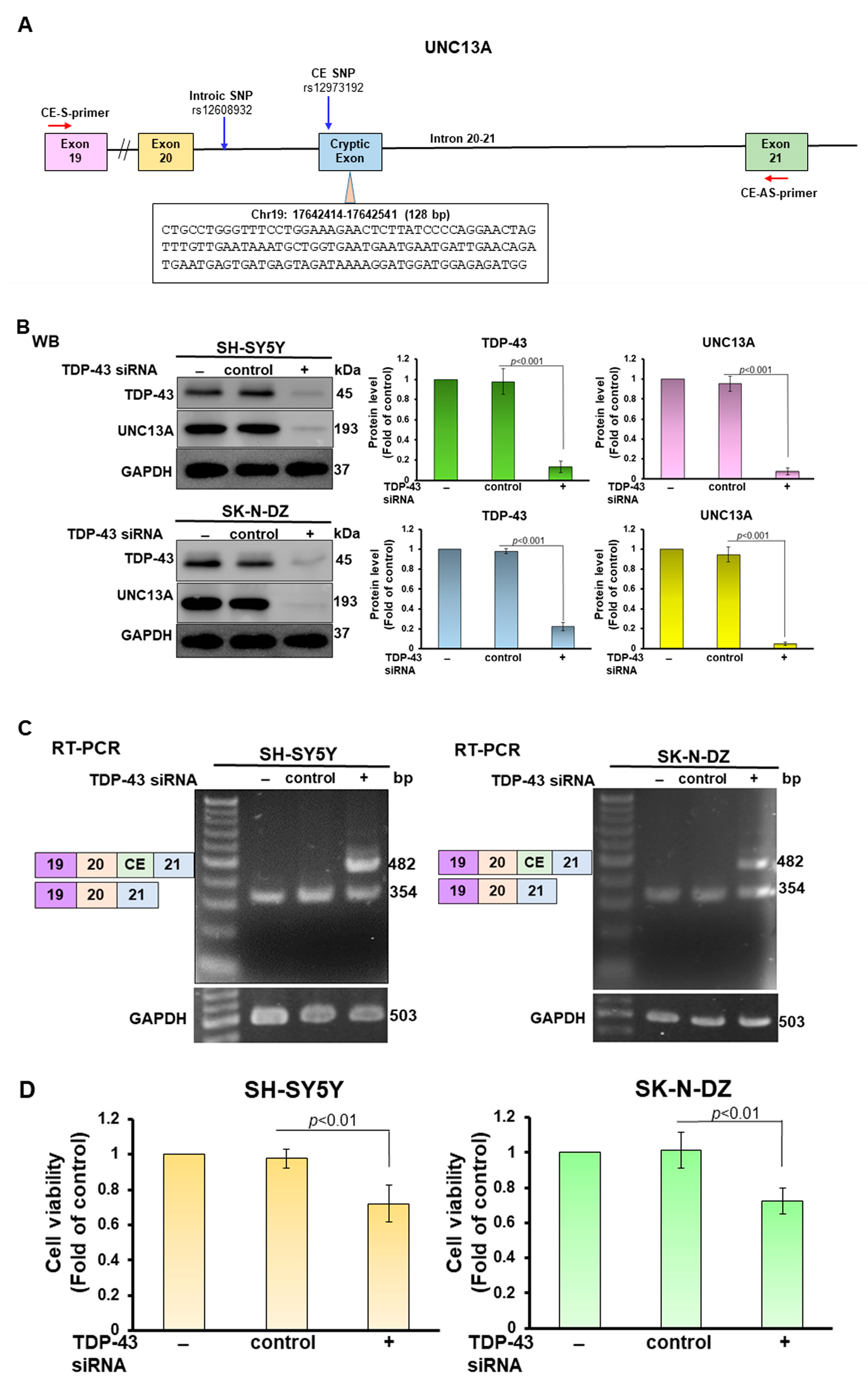 Cells 12 02476 g001a