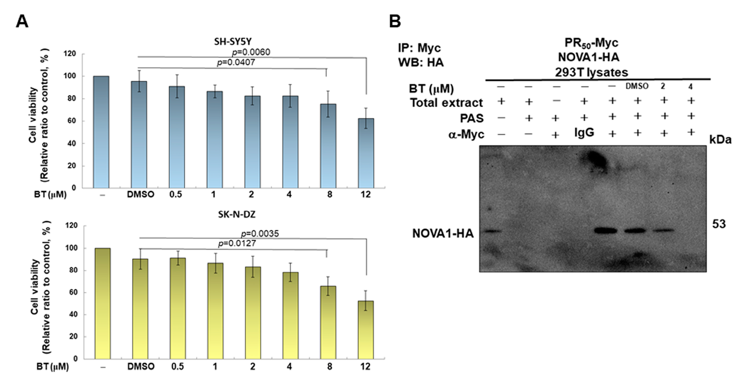Cells 12 02476 g006a