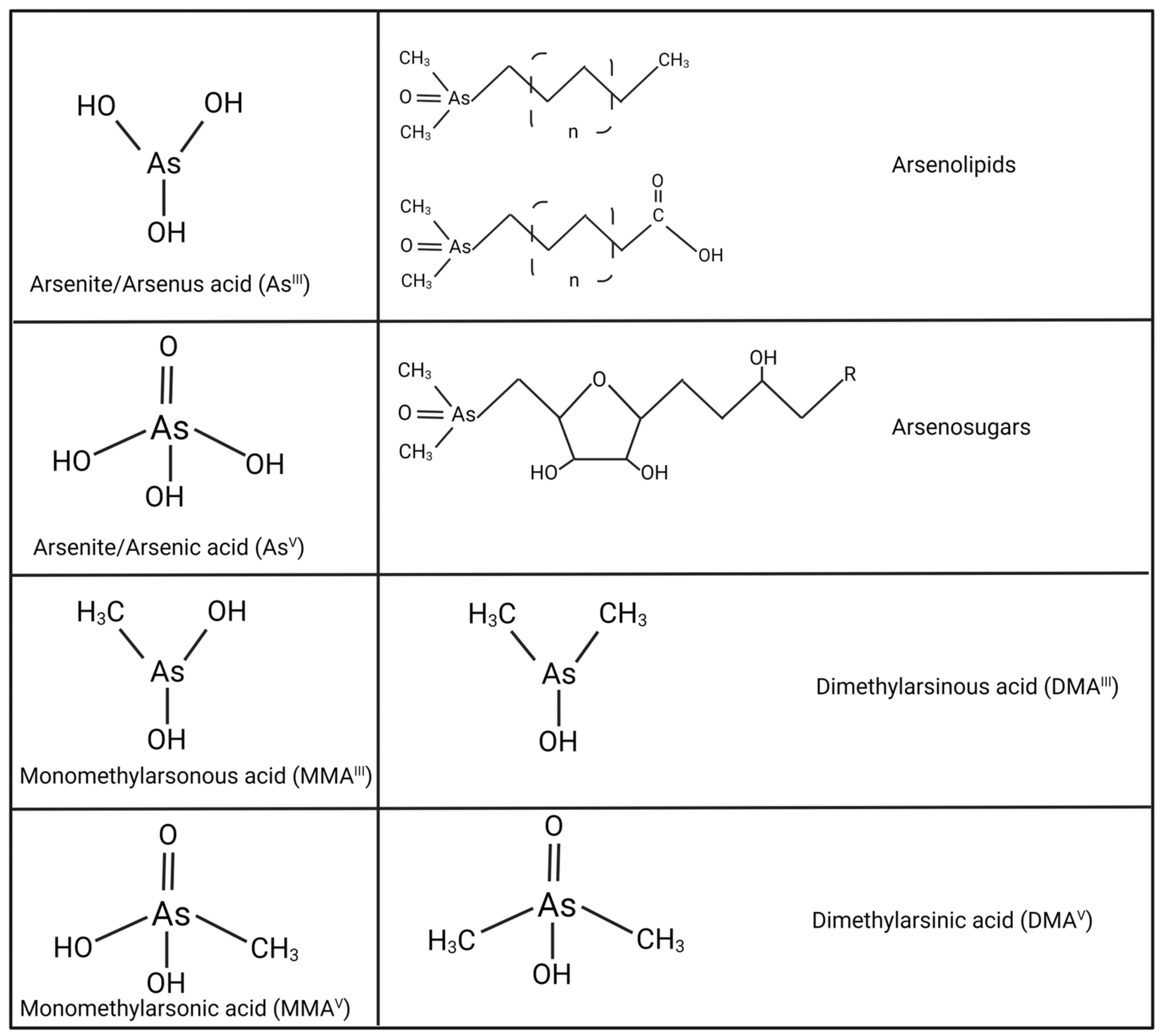 Cells | Free Full-Text | Mechanisms Associated with Cognitive and  Behavioral Impairment Induced by Arsenic Exposure