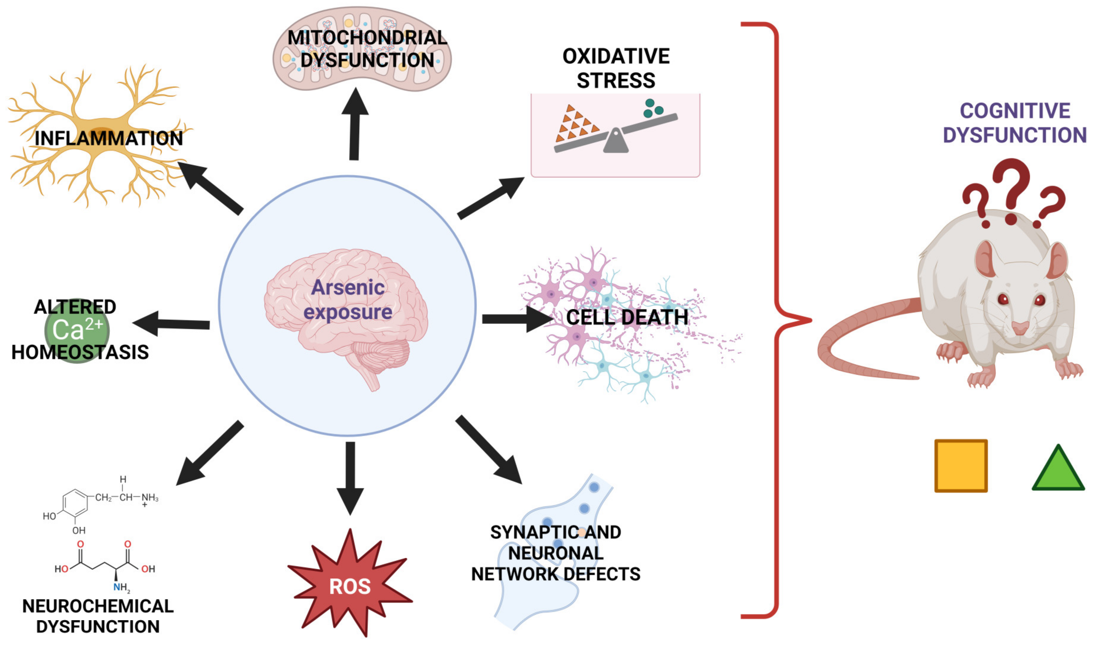Cells 12 02537 g002 Cells 12 02537 g002