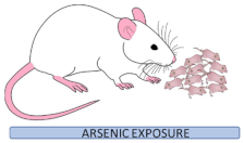 Cells 12 02537 i003 Cells 12 02537 i003