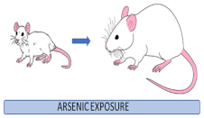 Cells 12 02537 i004 Cells 12 02537 i004