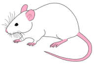 Cells 12 02537 i005 Cells 12 02537 i005