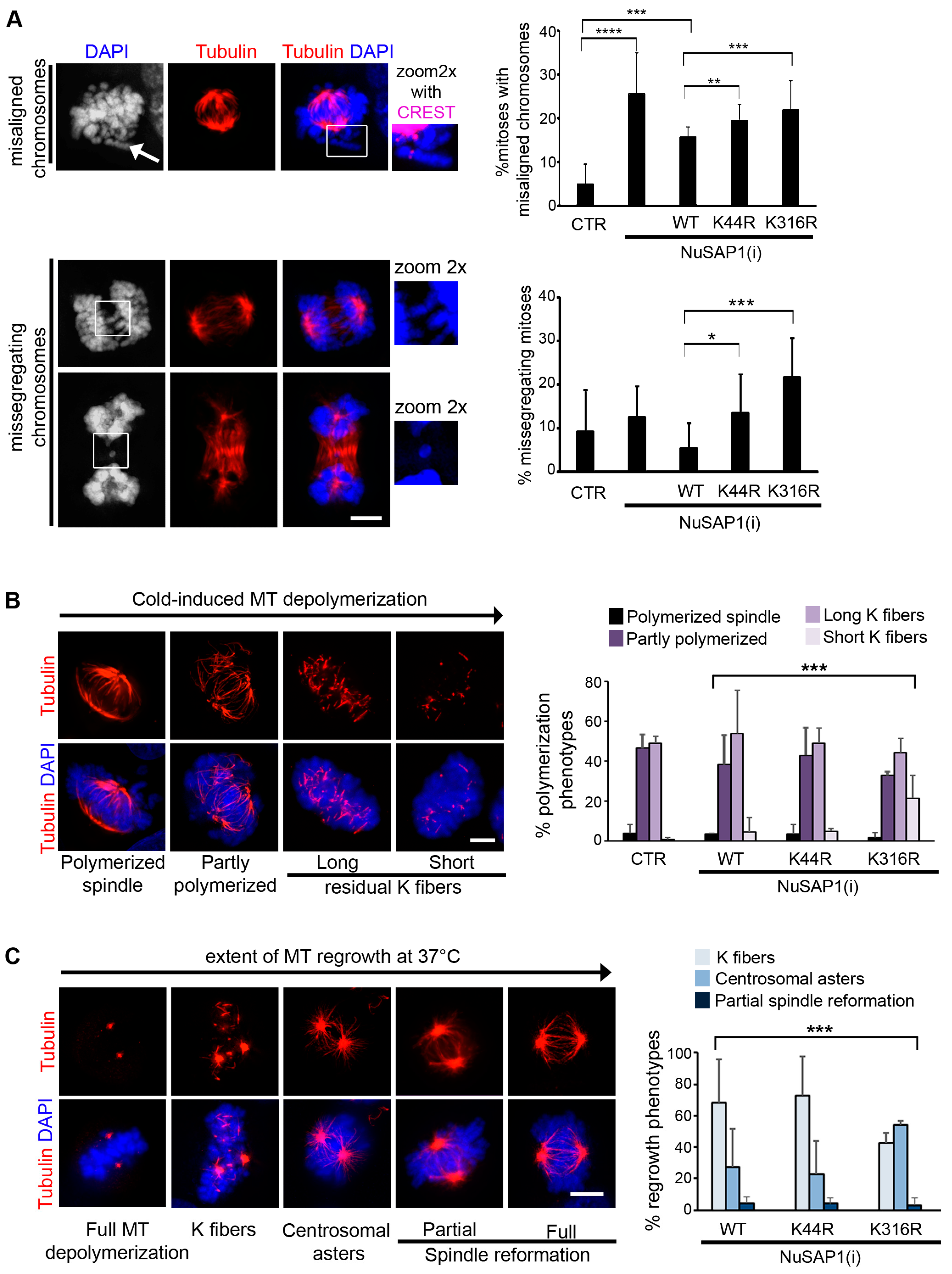 Cells 12 02545 g006