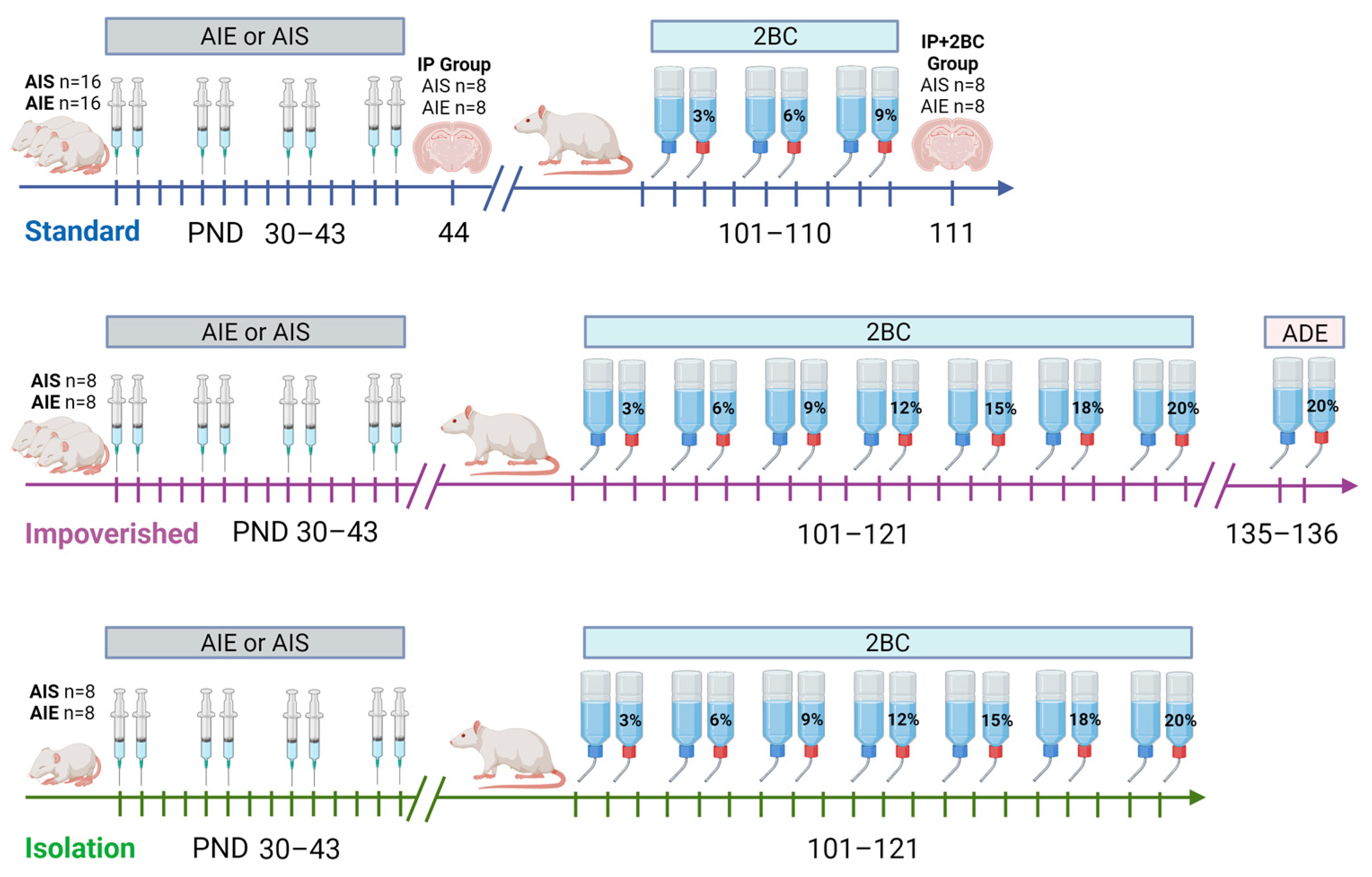 Cells 12 02572 g001