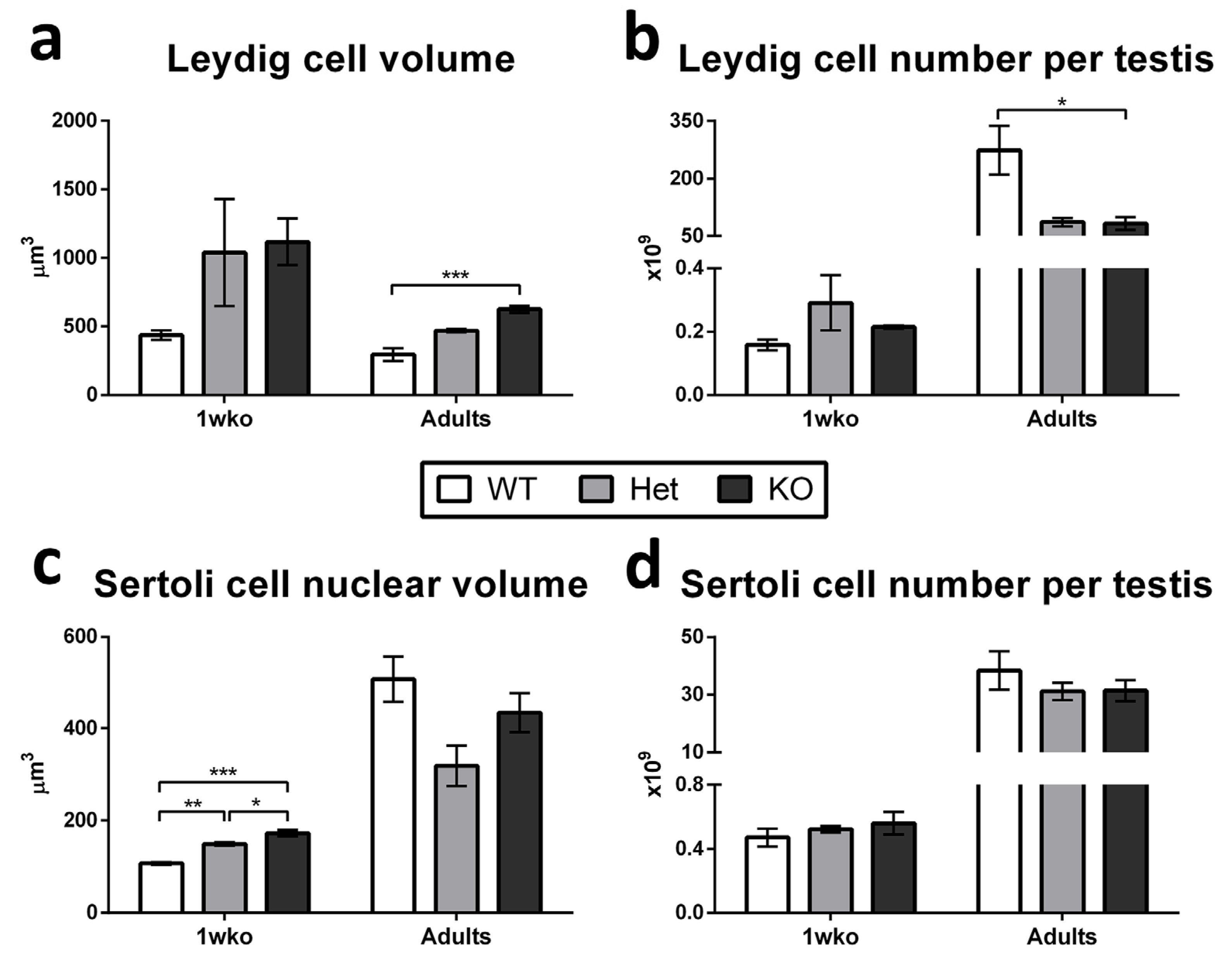 Cells 12 02582 g005 Cells 12 02582 g005