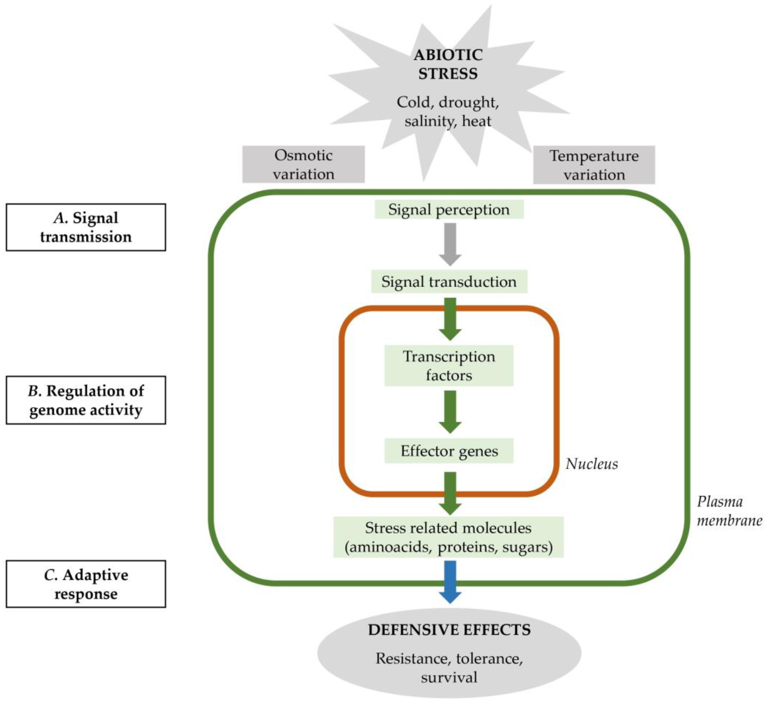 Cells 12 02606 g001 Cells 12 02606 g001