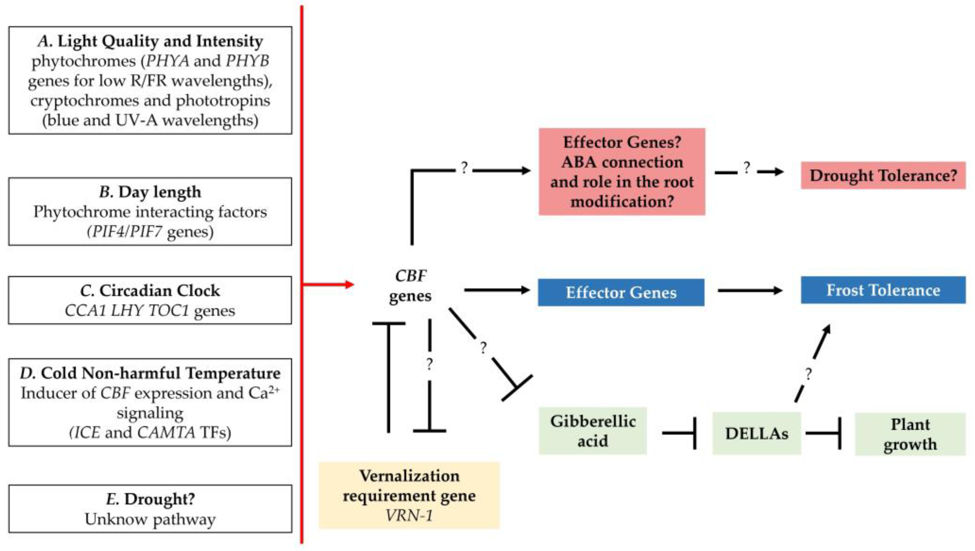 Cells 12 02606 g004 Cells 12 02606 g004