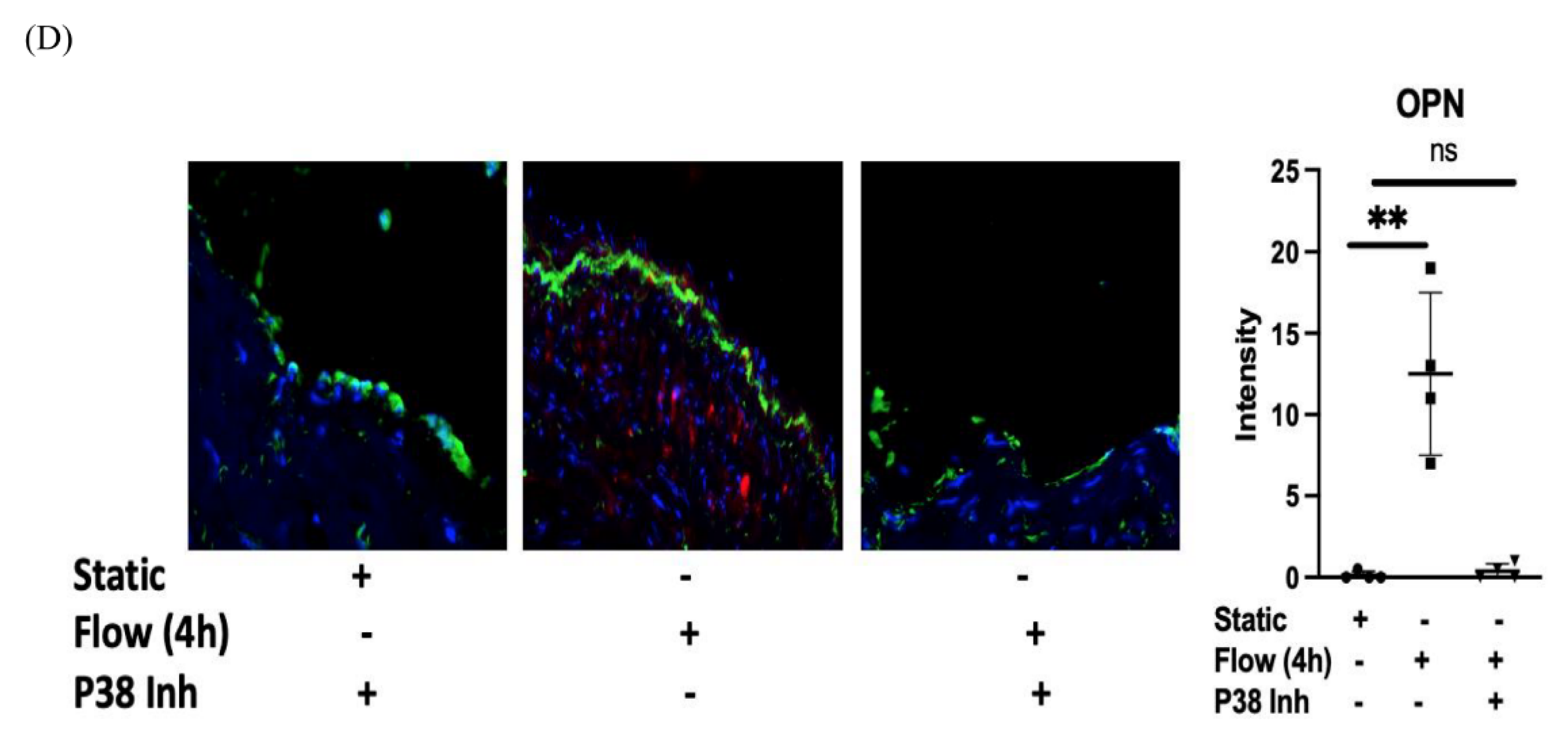 Cells 12 02627 g002b Cells 12 02627 g002b