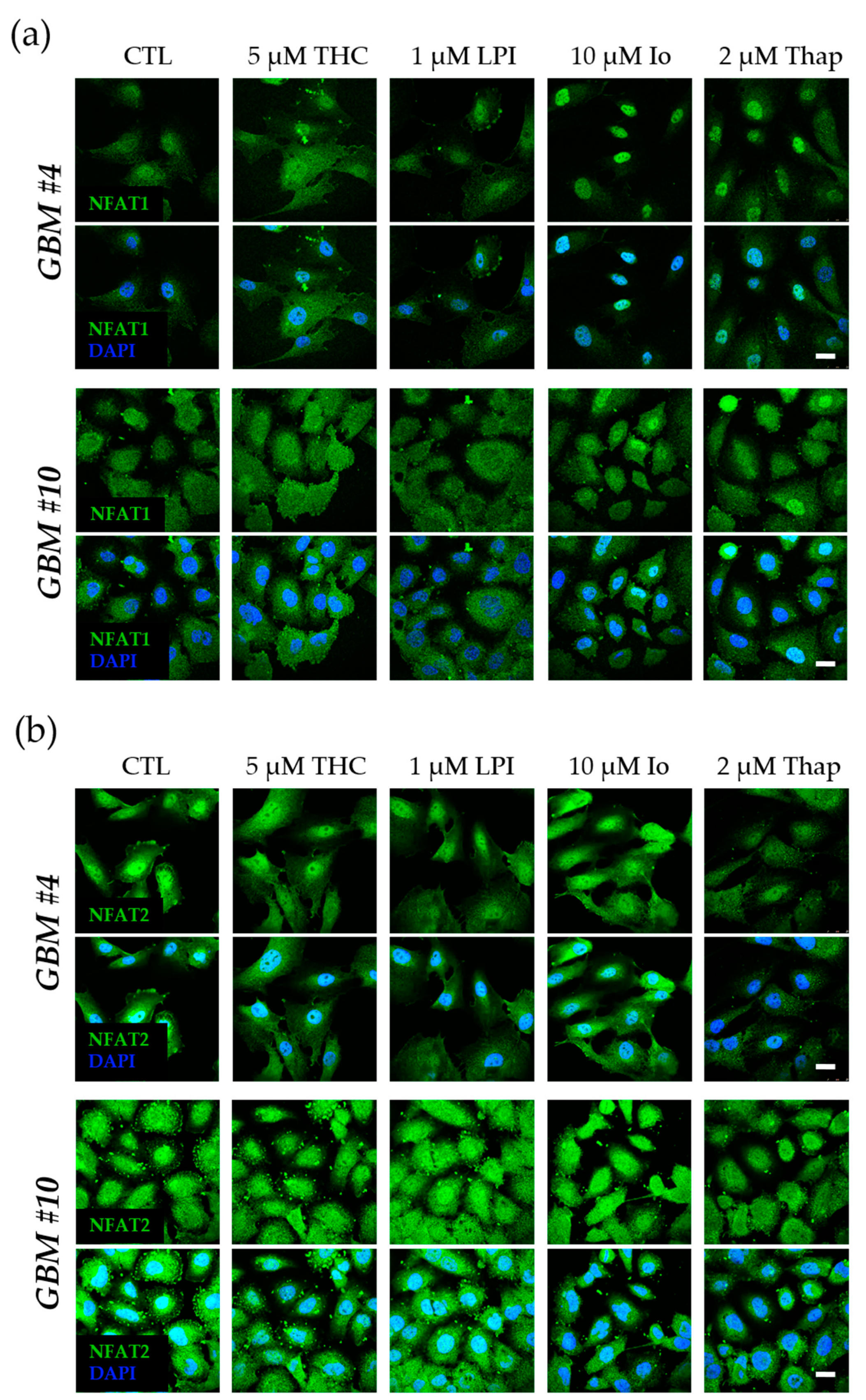Cells 12 02646 g008