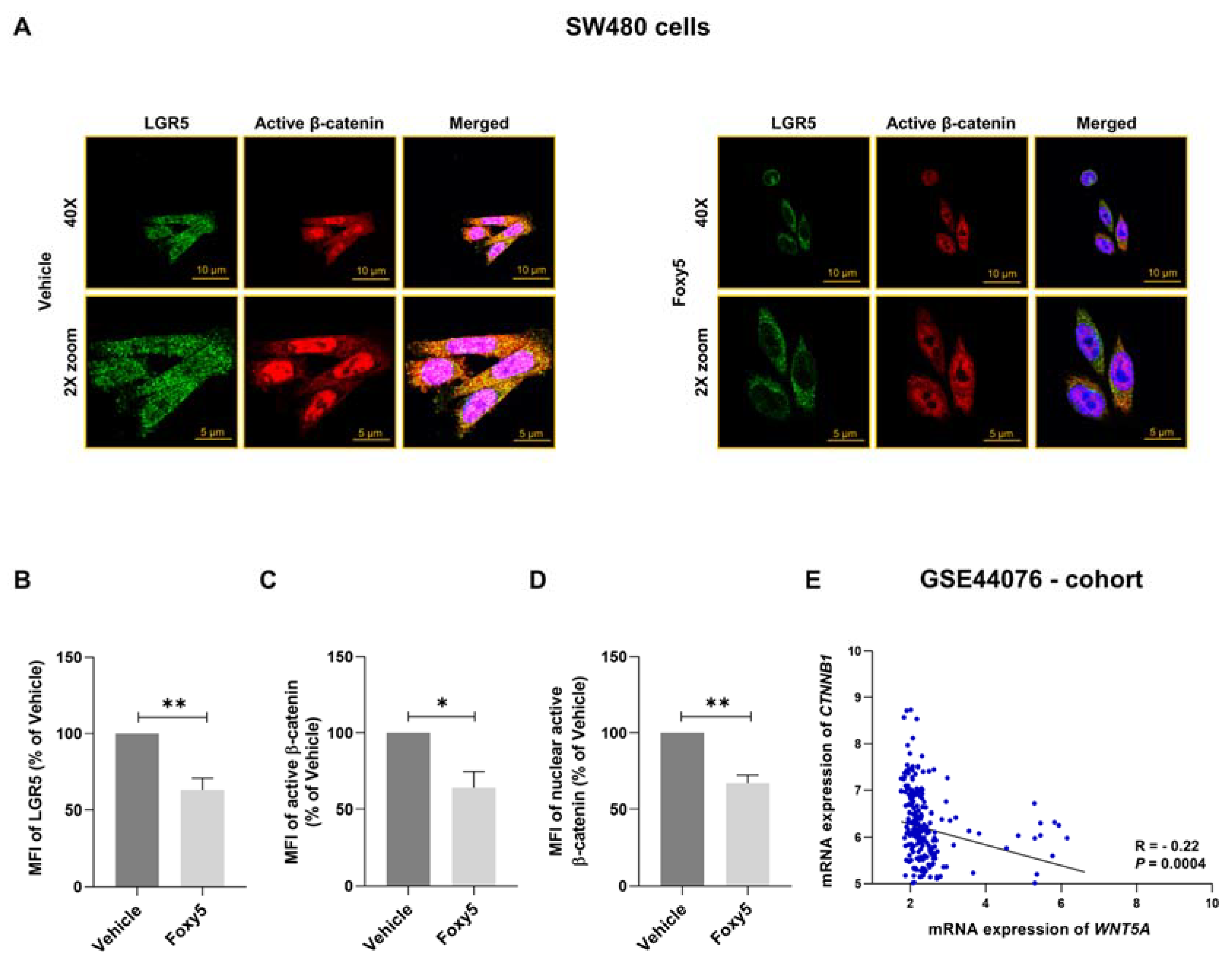 Cells 12 02658 g004