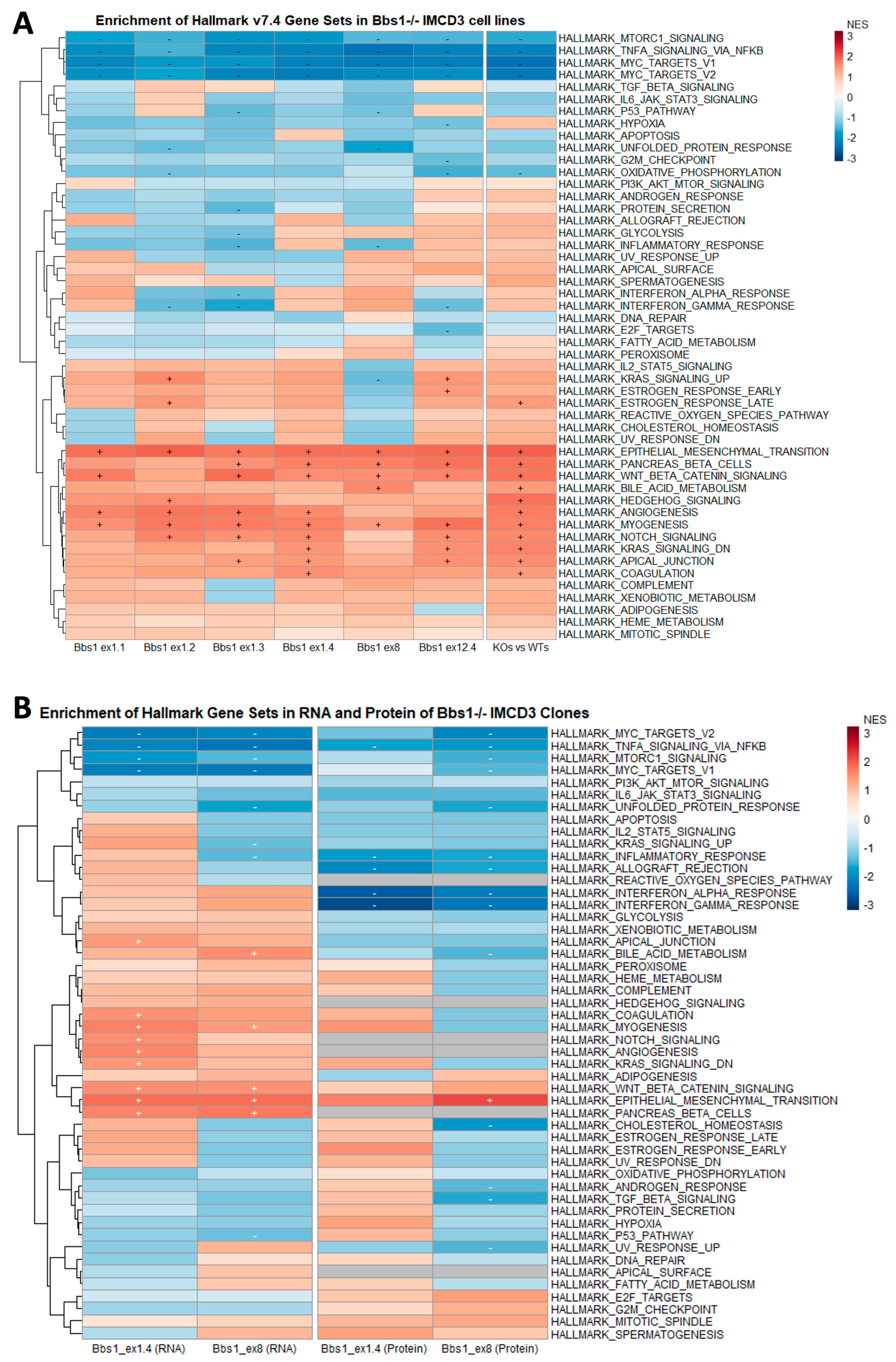 Cells 12 02662 g005a
