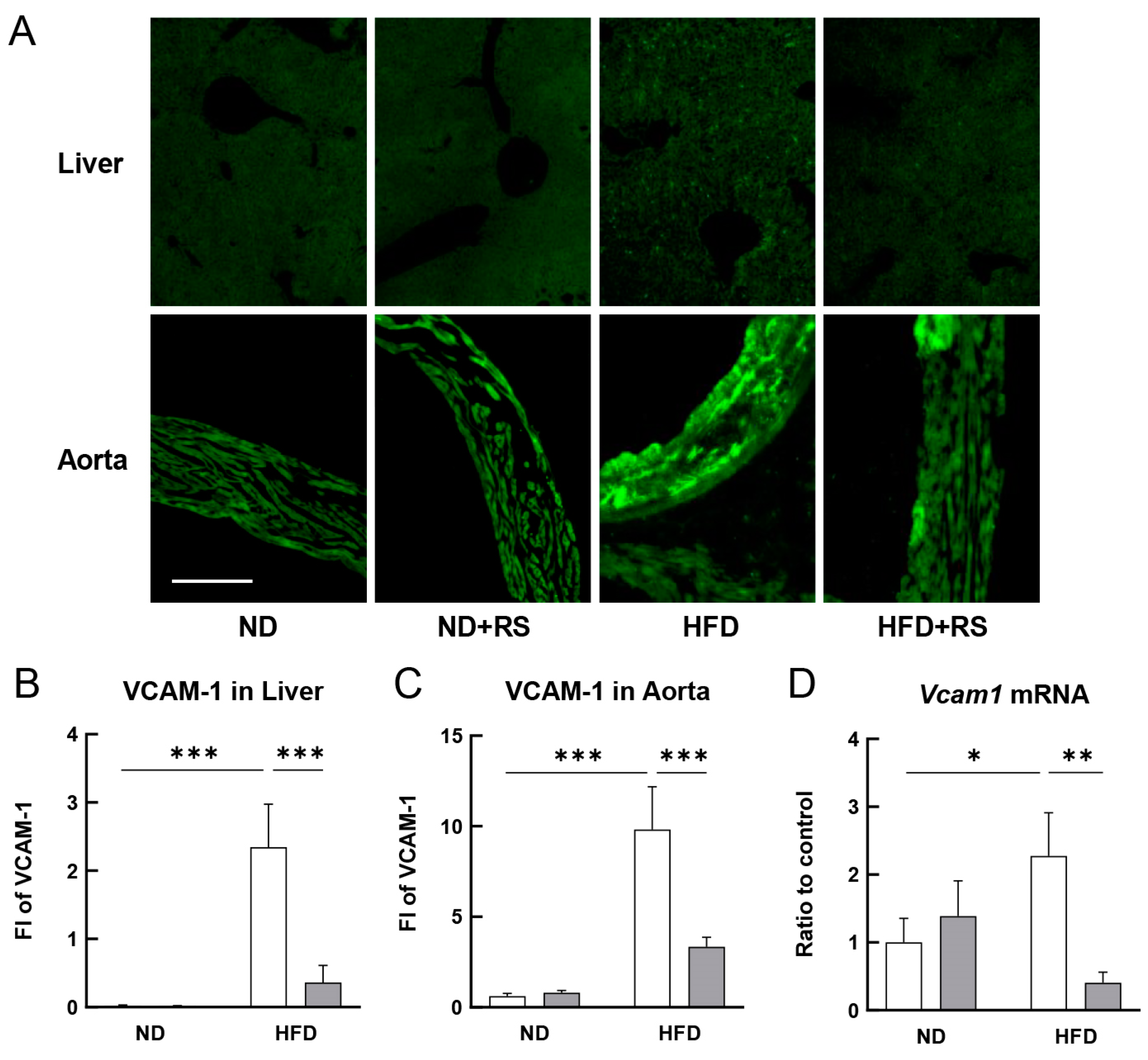 Cells 12 02666 g002 Cells 12 02666 g002