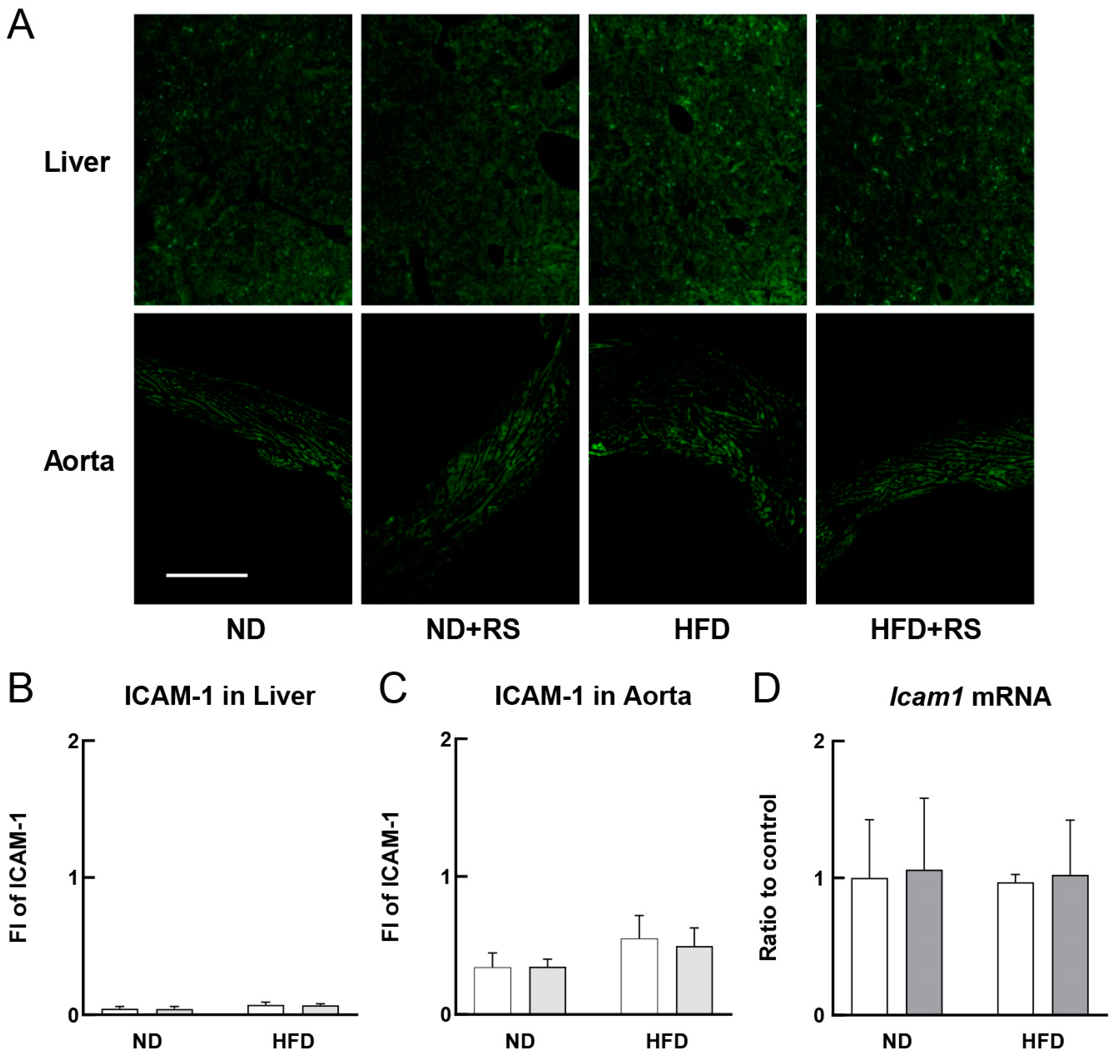 Cells 12 02666 g003 Cells 12 02666 g003