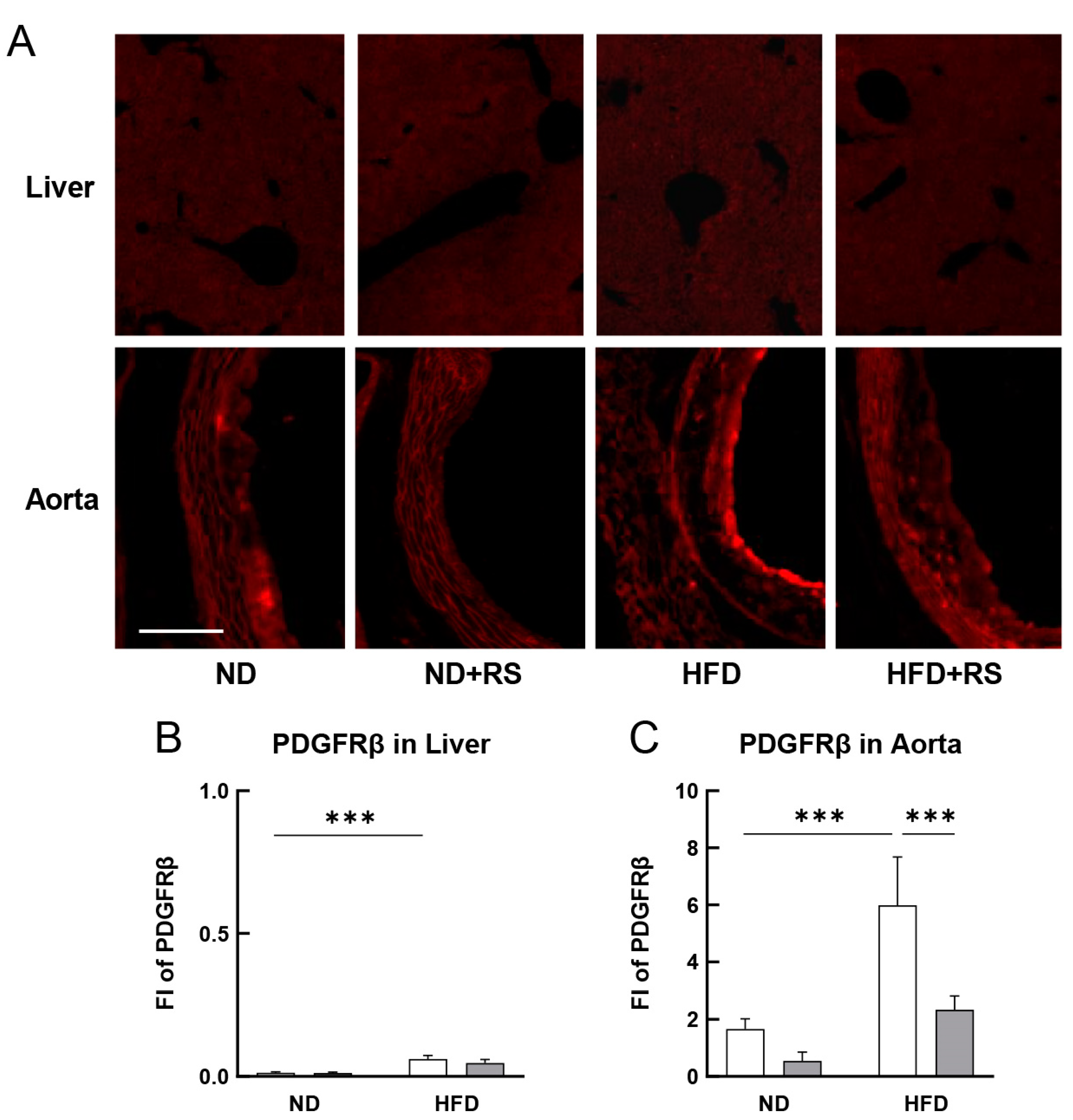 Cells 12 02666 g005 Cells 12 02666 g005