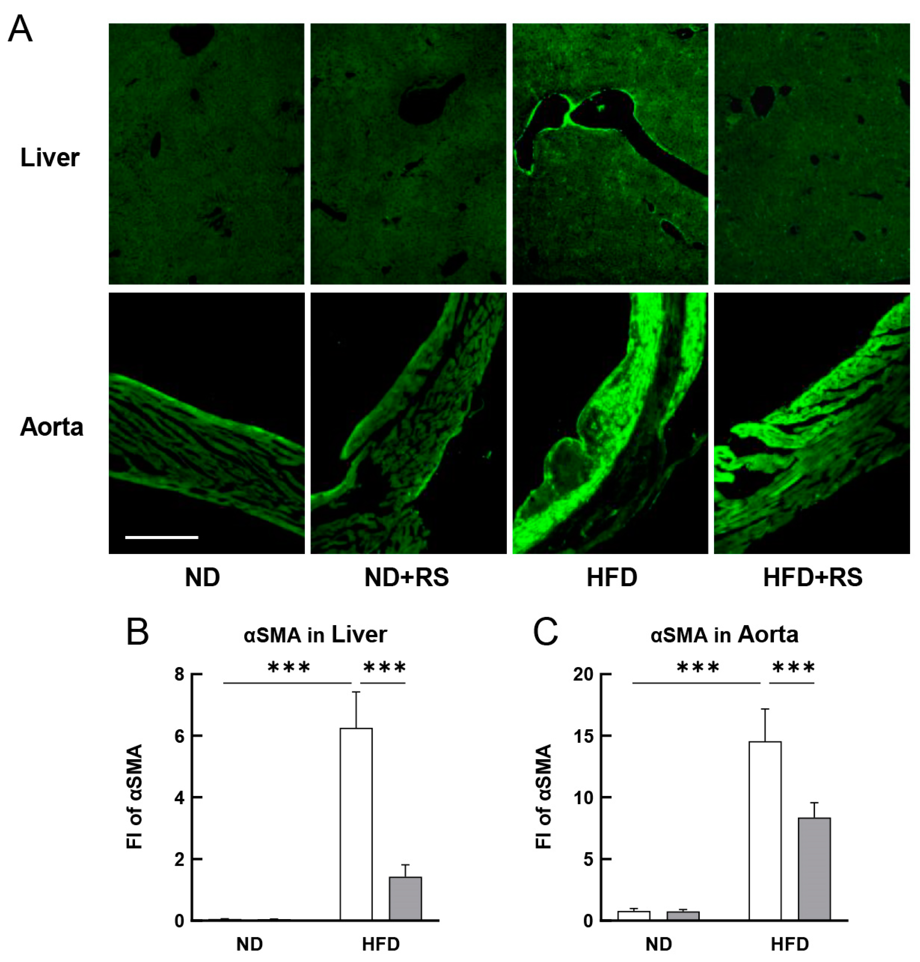Cells 12 02666 g006 Cells 12 02666 g006