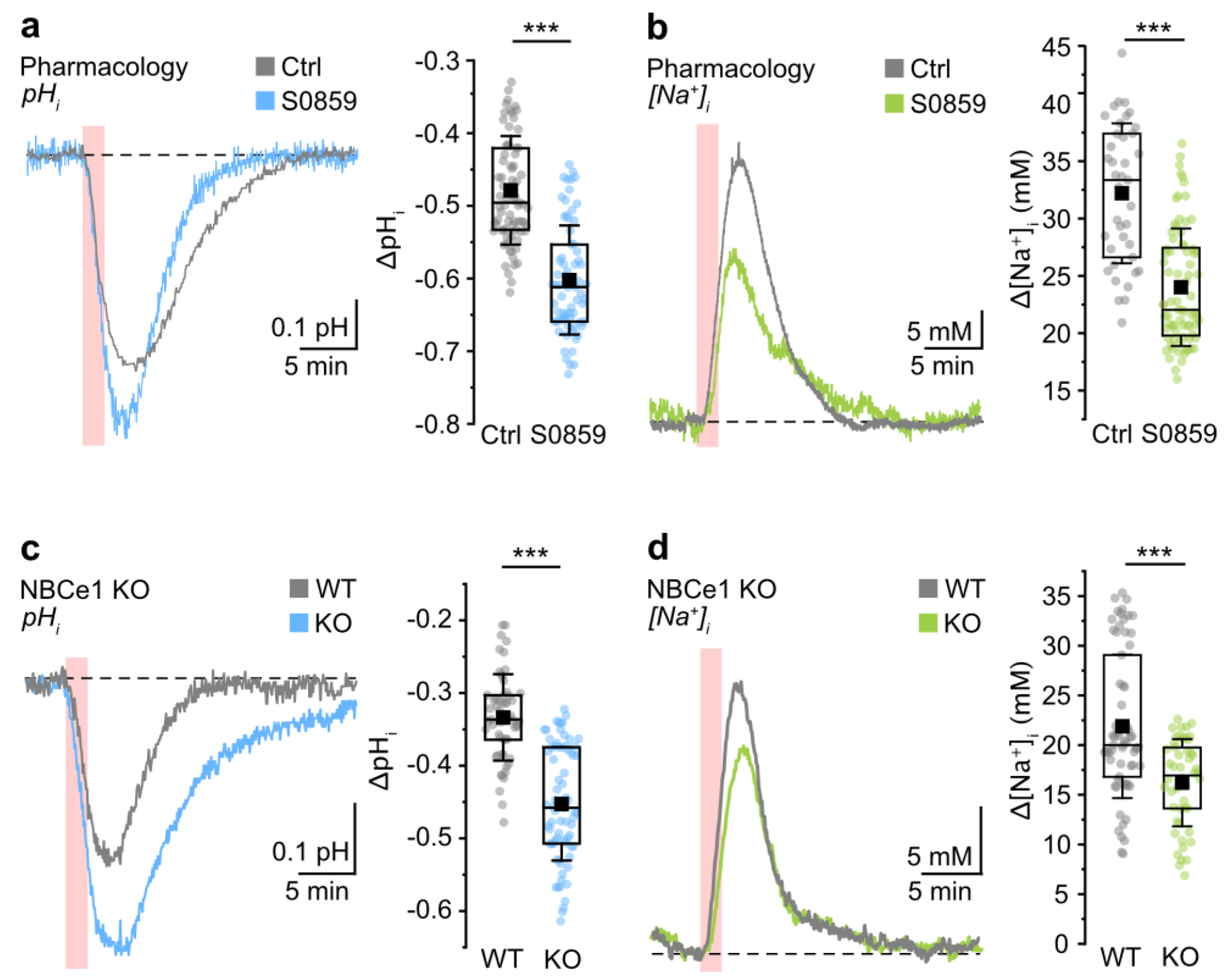 Cells 12 02675 g002 Cells 12 02675 g002