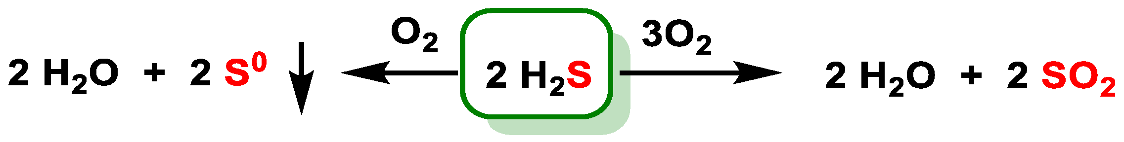 Cells 12 02684 g015