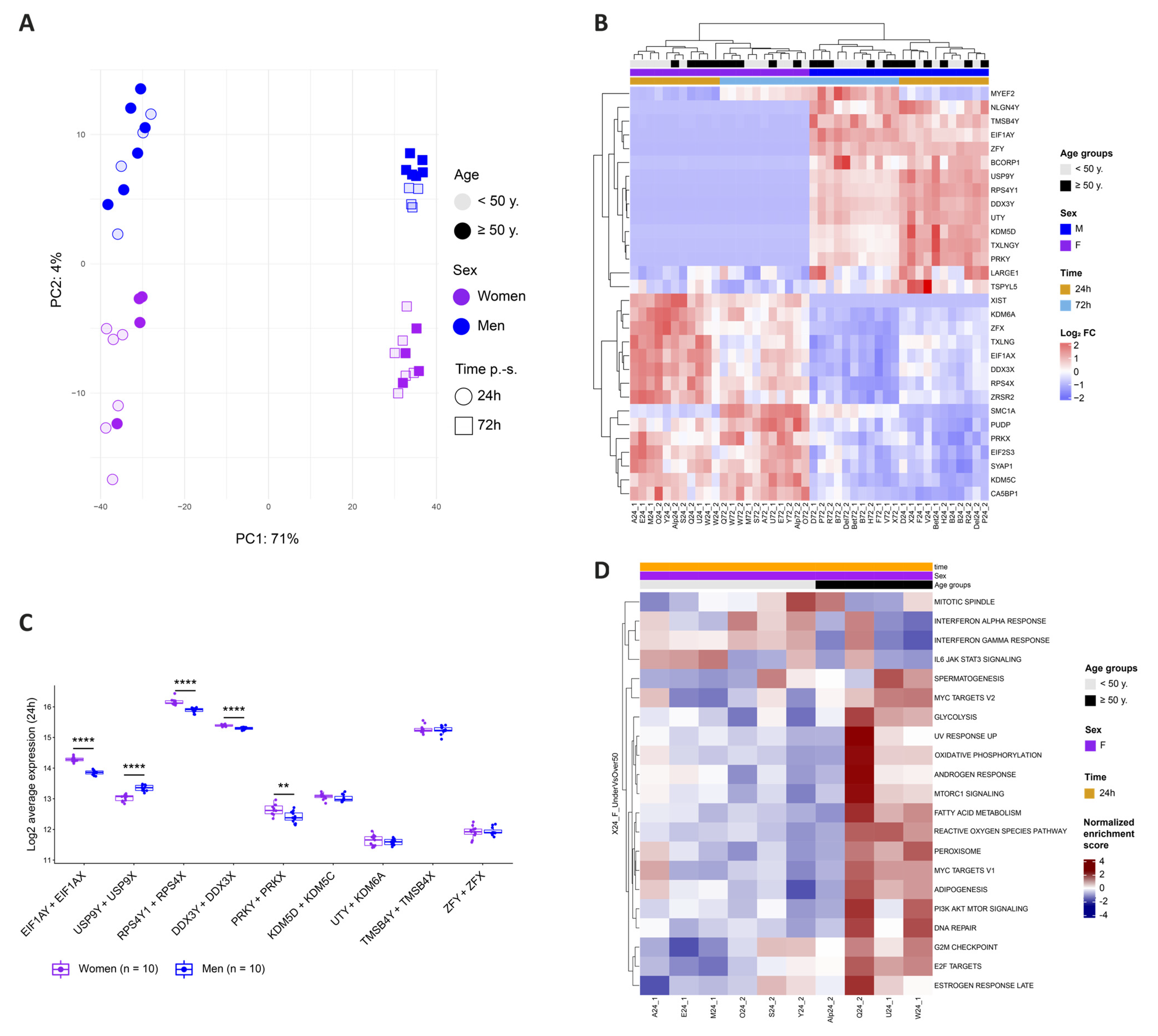 Cells | Free Full-Text | Sex and Age Impact CD4+ T Cell Susceptibility to  HIV In Vitro through Cell Activation Dynamics