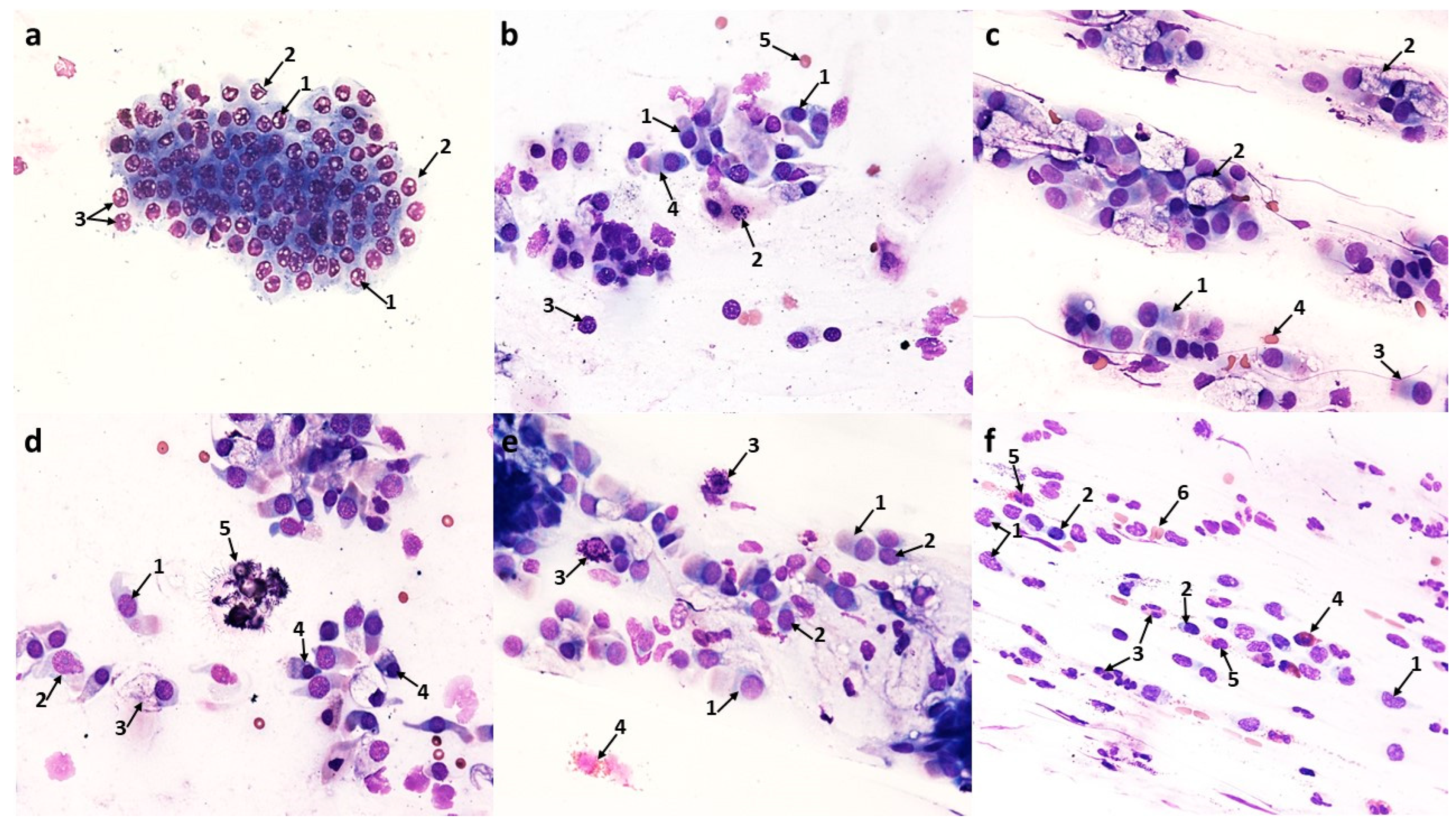 Cells 12 02697 g003 Cells 12 02697 g003