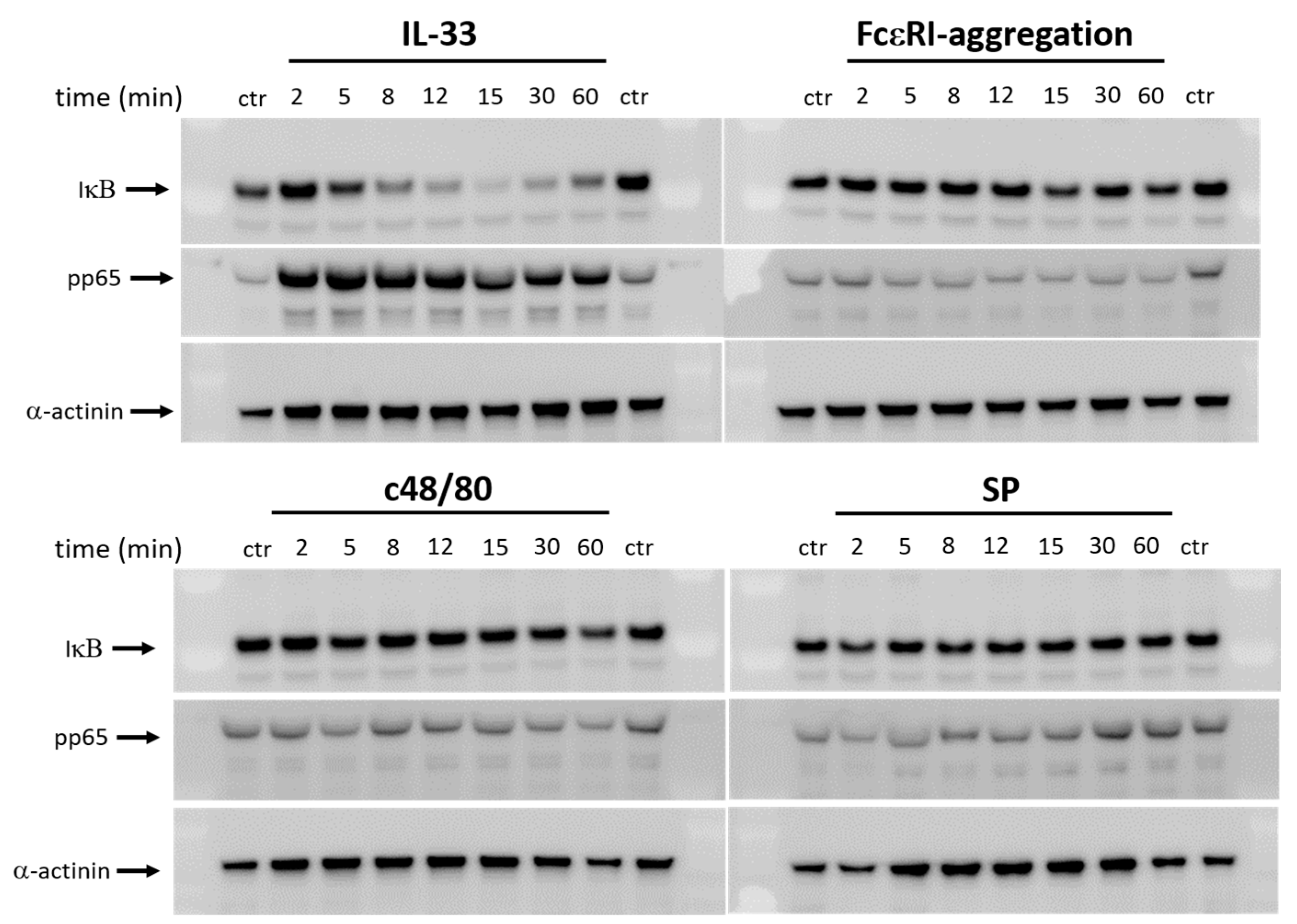 Cells 12 02700 g002