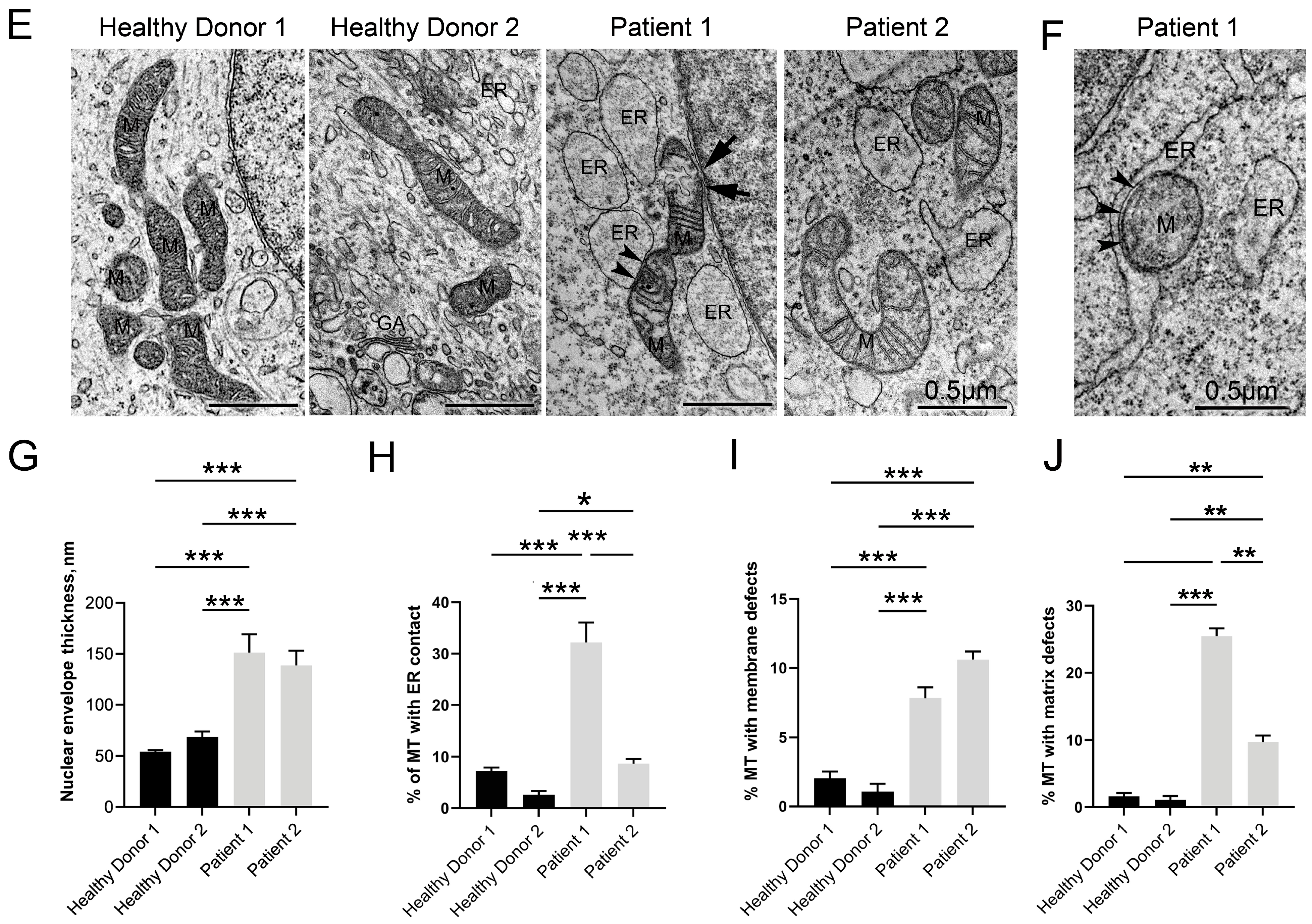 Cells 12 02702 g004b