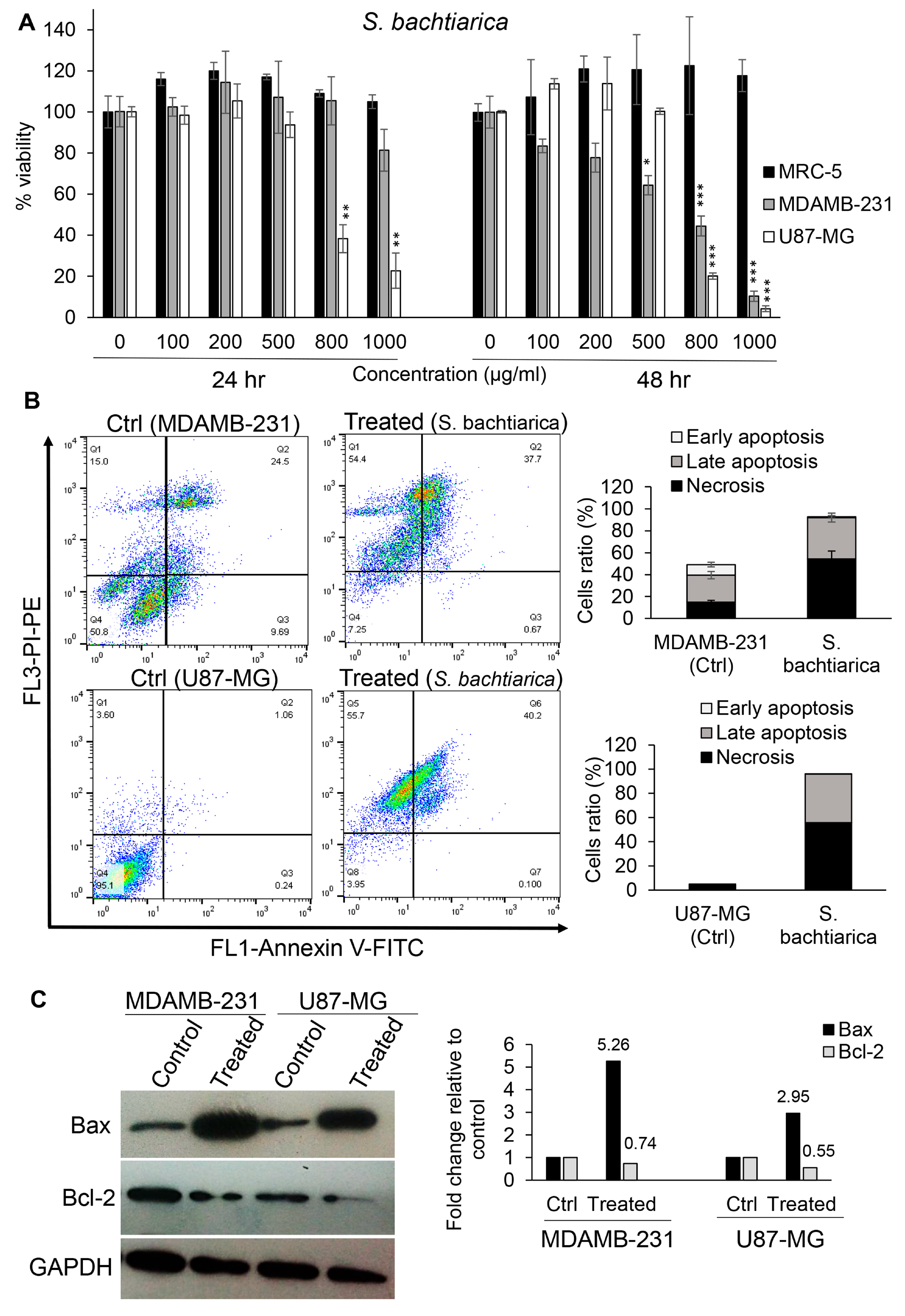 Cells 12 02713 g001