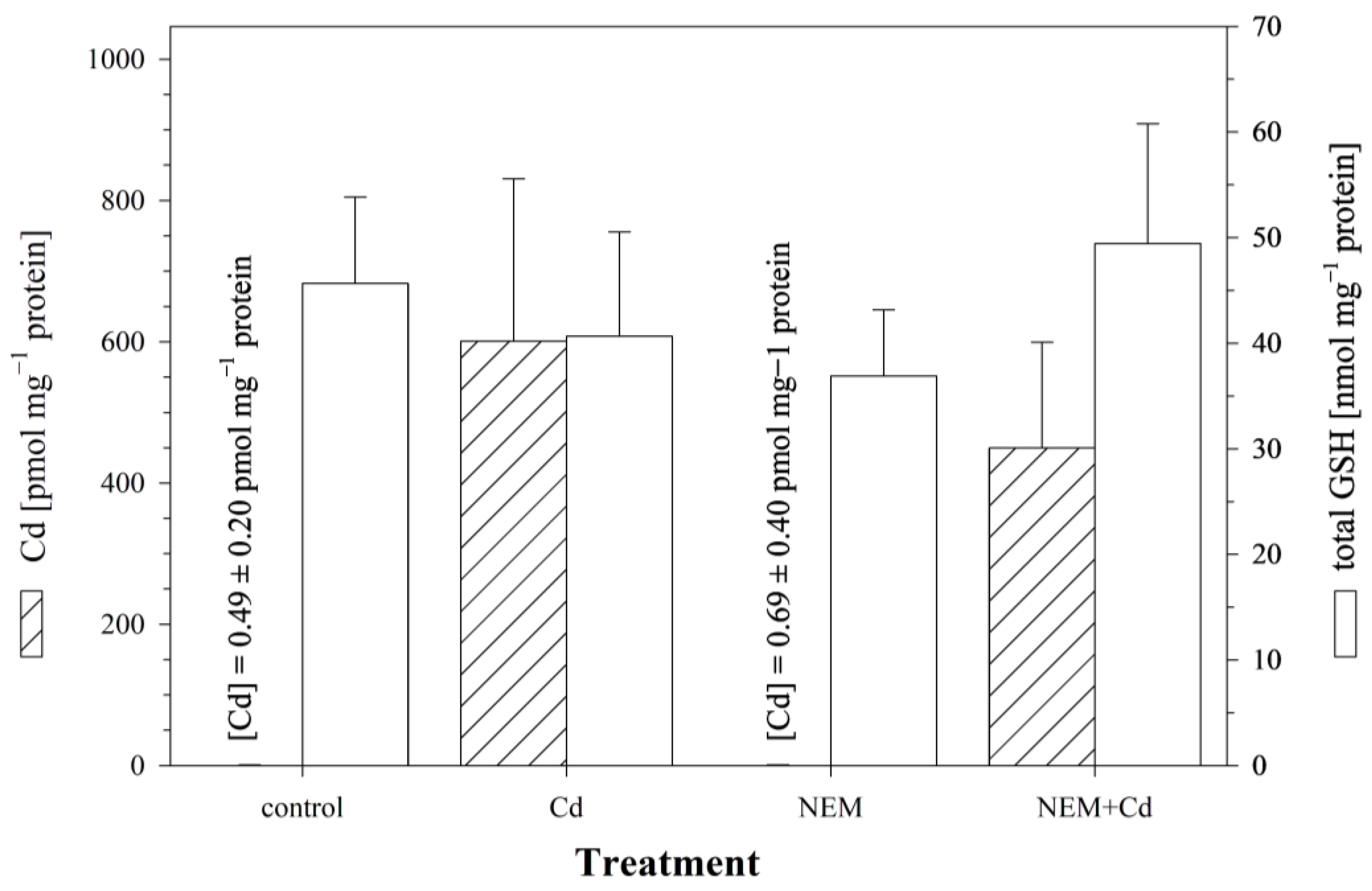 Cells 12 02720 g003 Cells 12 02720 g003