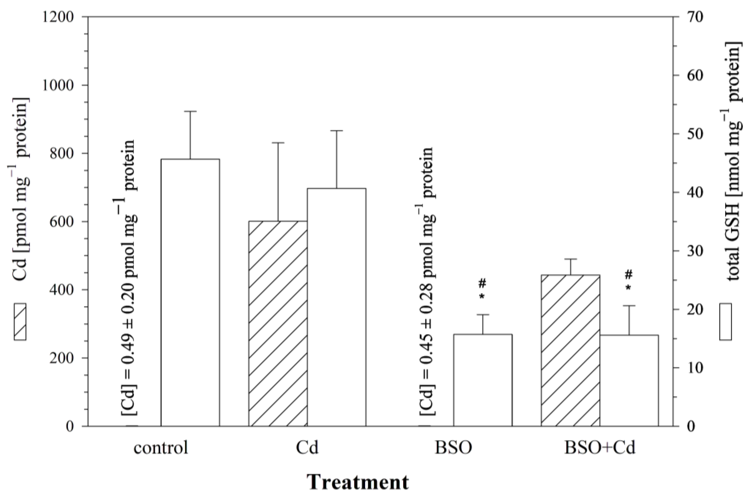 Cells 12 02720 g004 Cells 12 02720 g004
