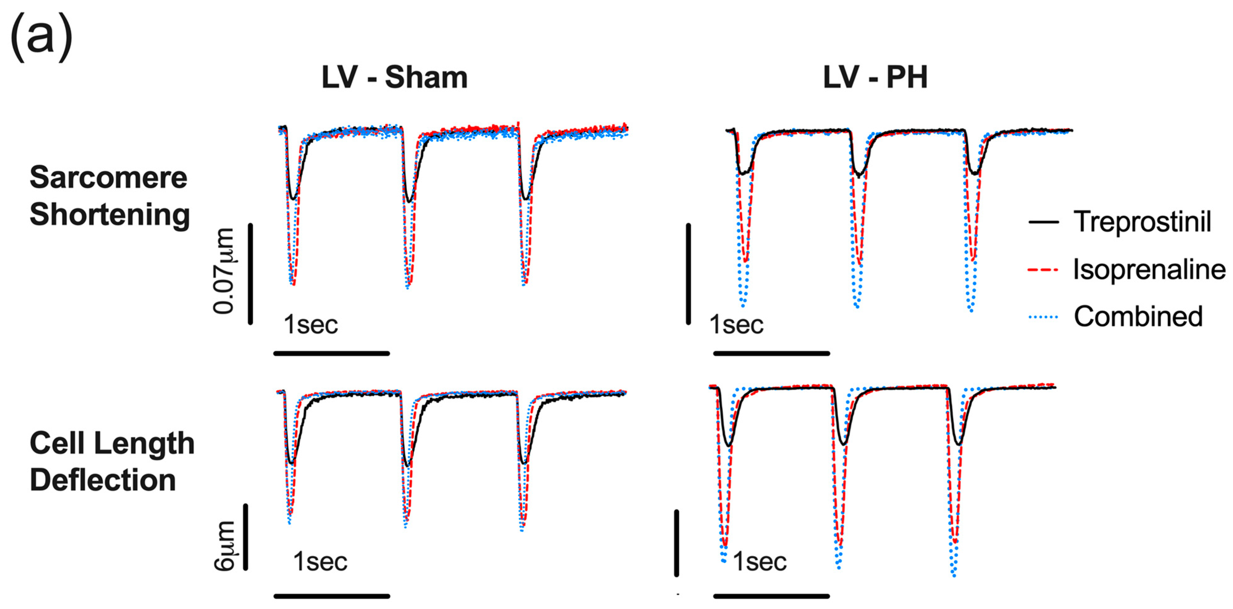 Cells 12 02764 g006a