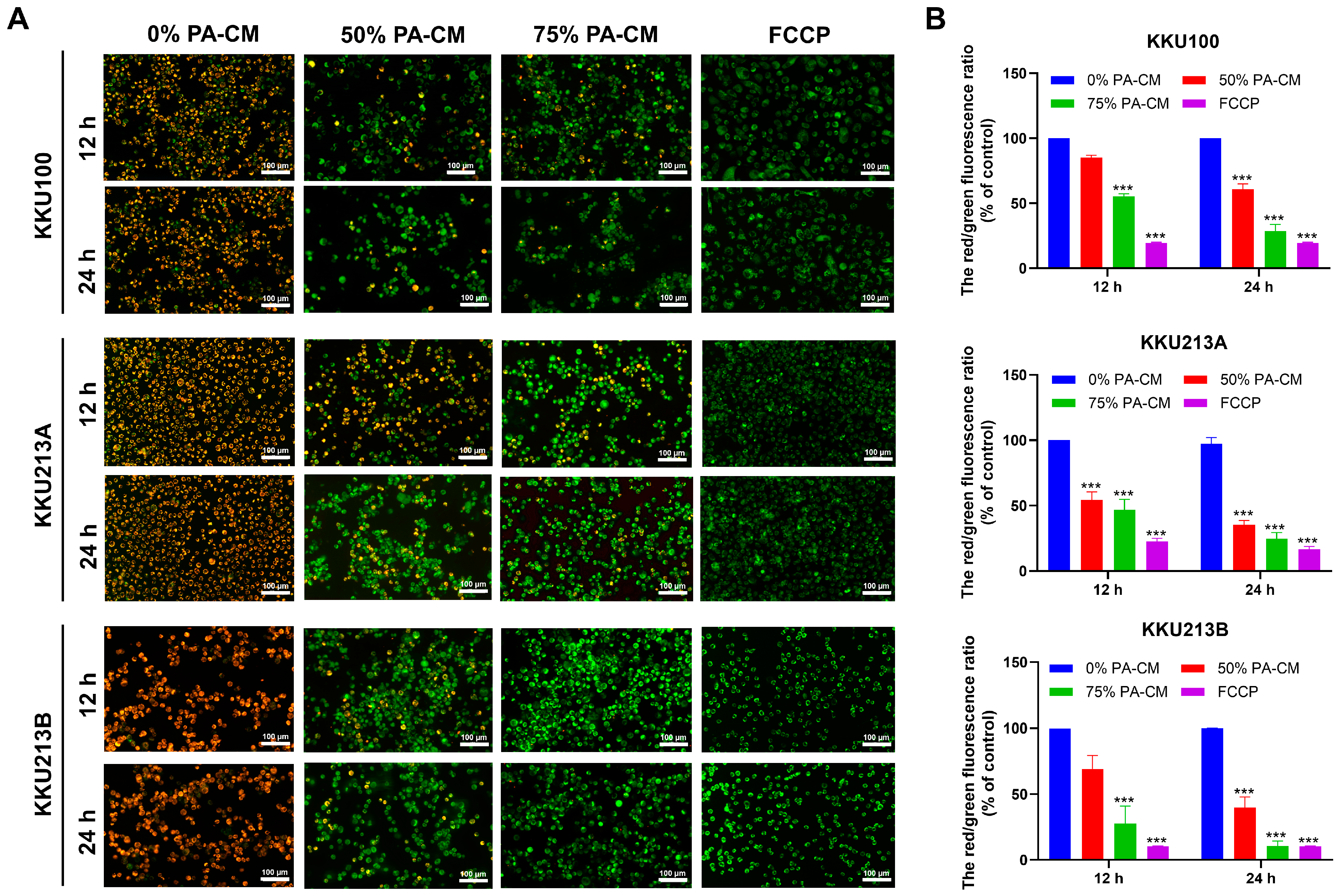 Cells 12 02788 g003 Cells 12 02788 g003