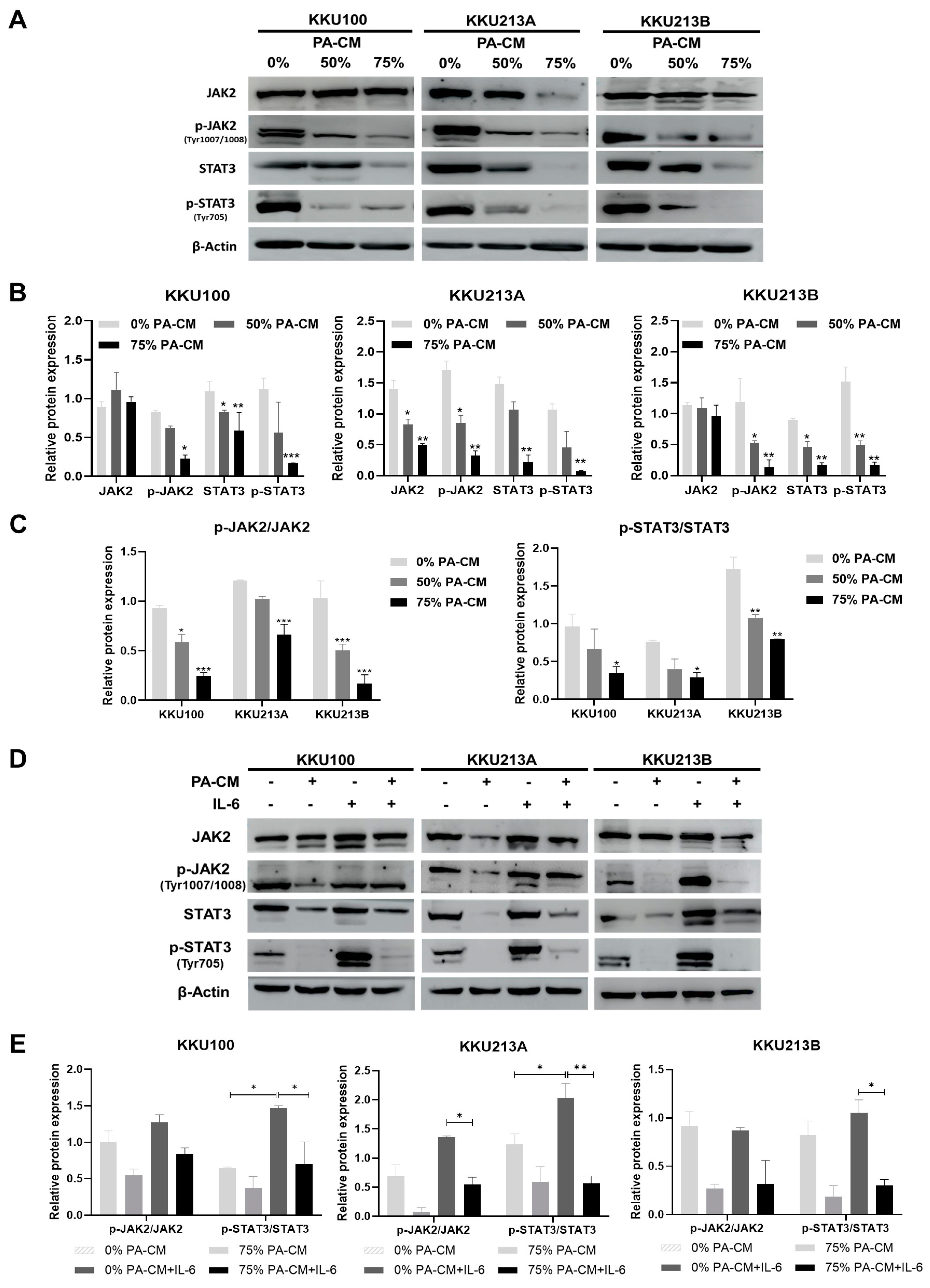 Cells 12 02788 g005 Cells 12 02788 g005
