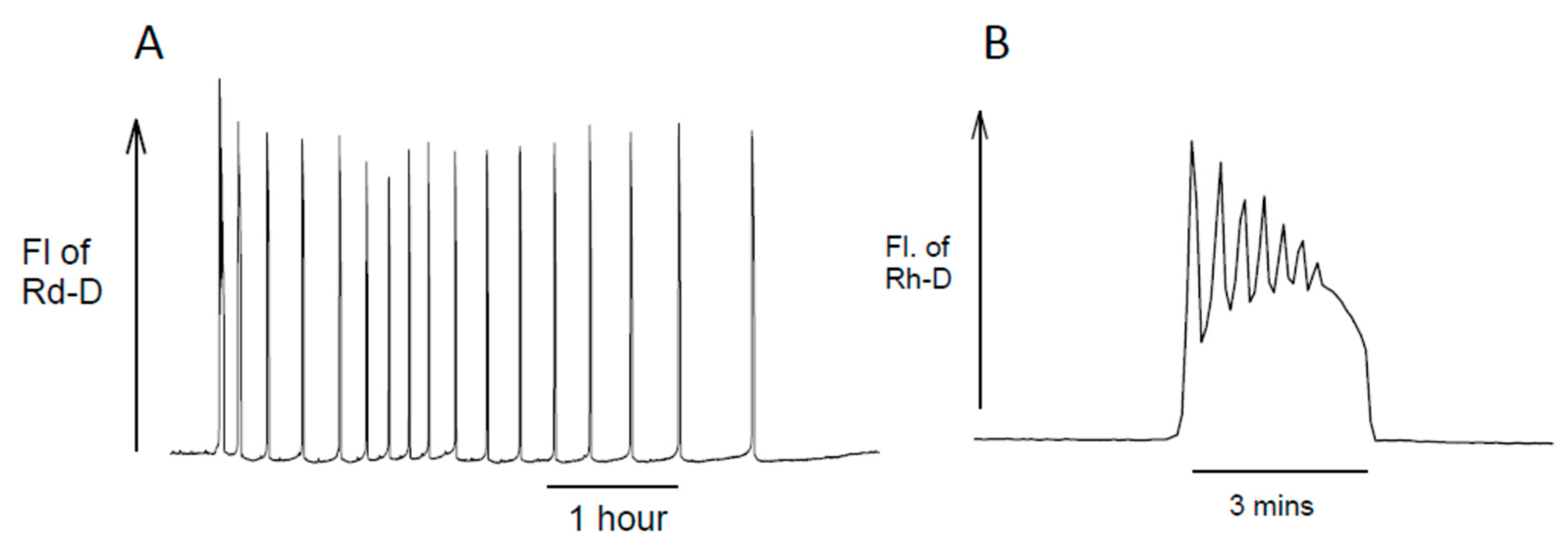 Cells 12 02809 g001 Cells 12 02809 g001