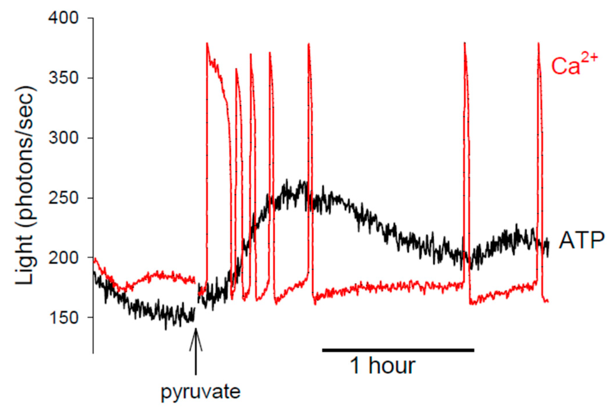 Cells 12 02809 g004 Cells 12 02809 g004