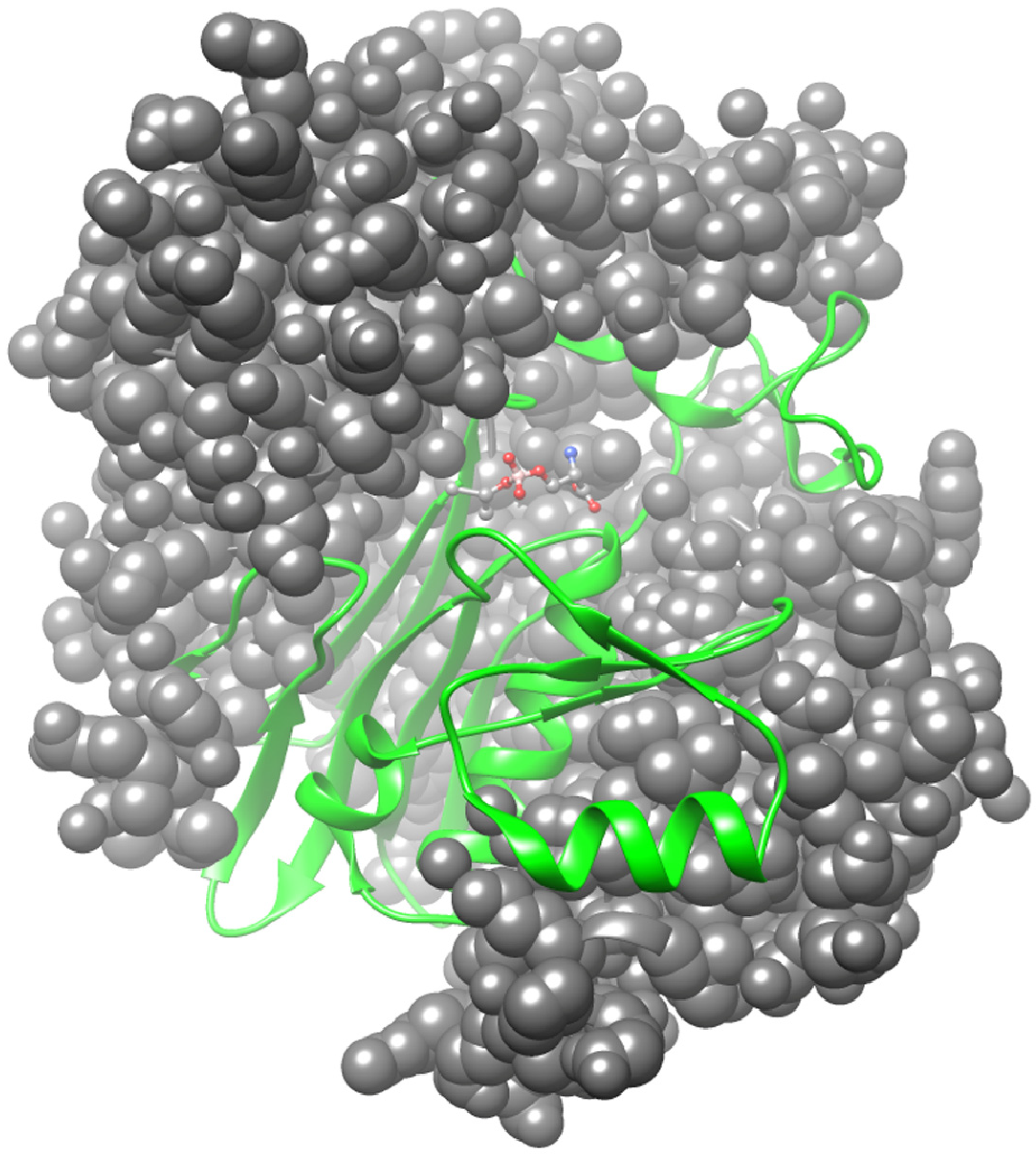 Cells 12 02831 g004 Cells 12 02831 g004