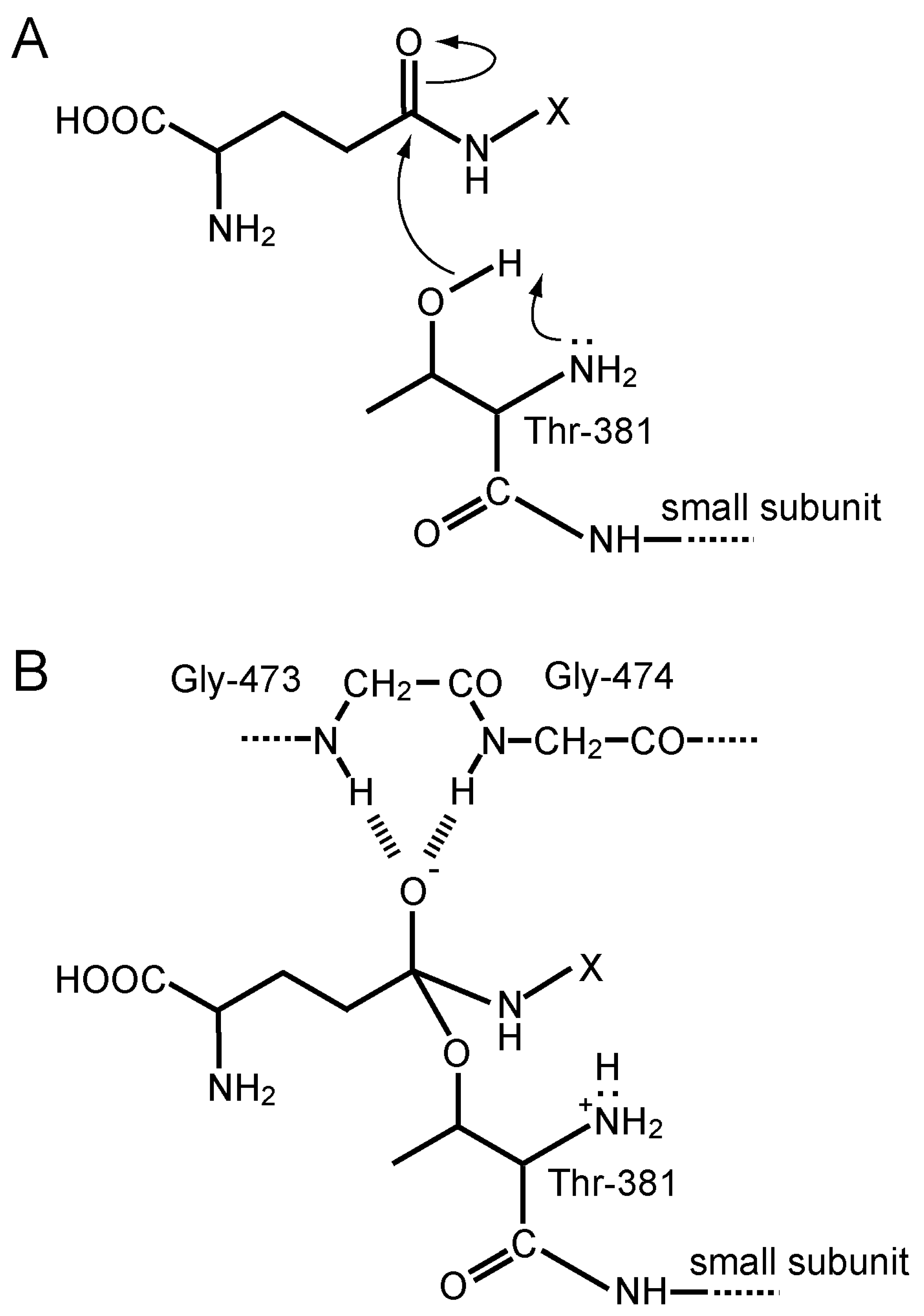Cells 12 02831 g005 Cells 12 02831 g005