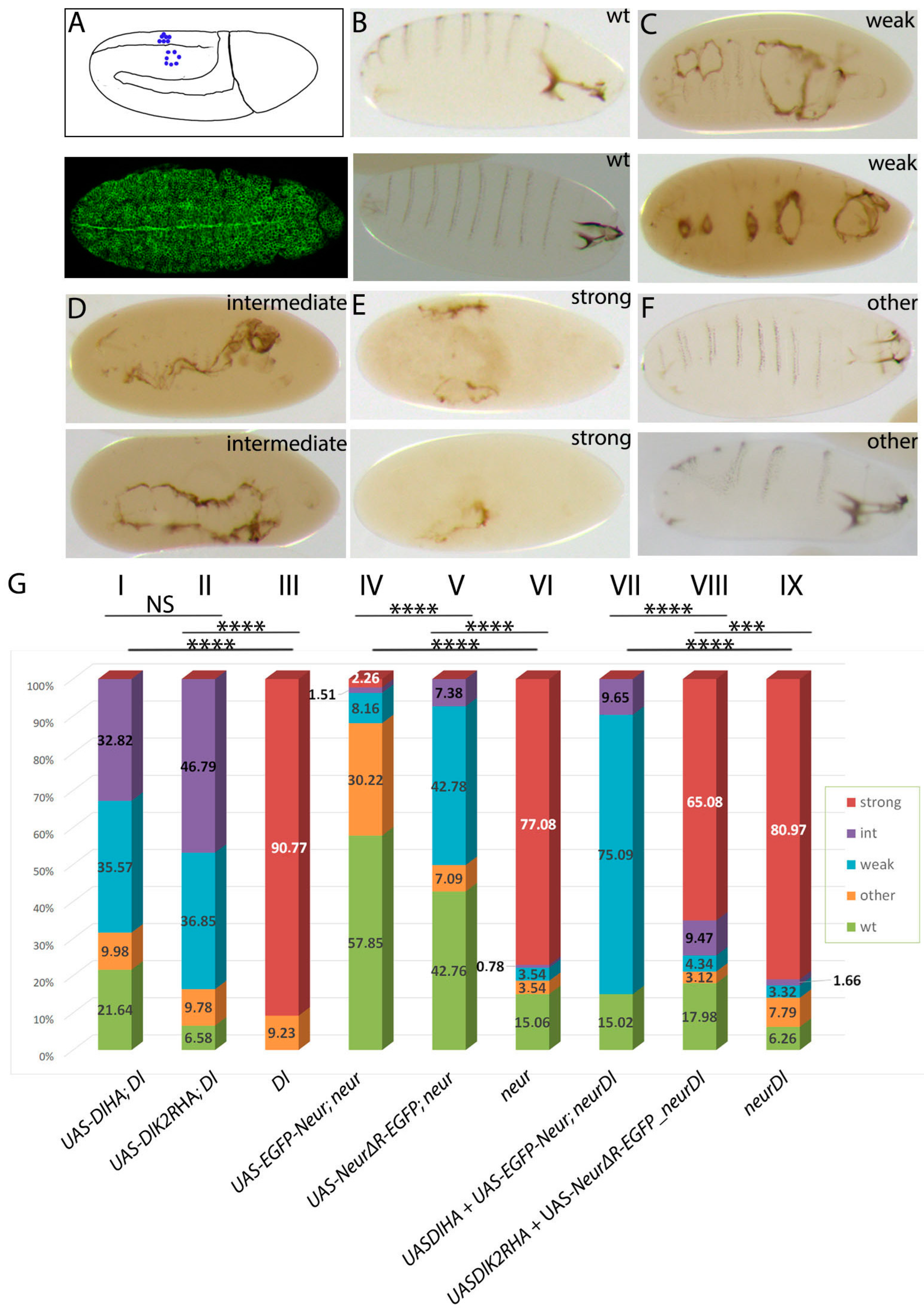 Cells 12 02833 g008