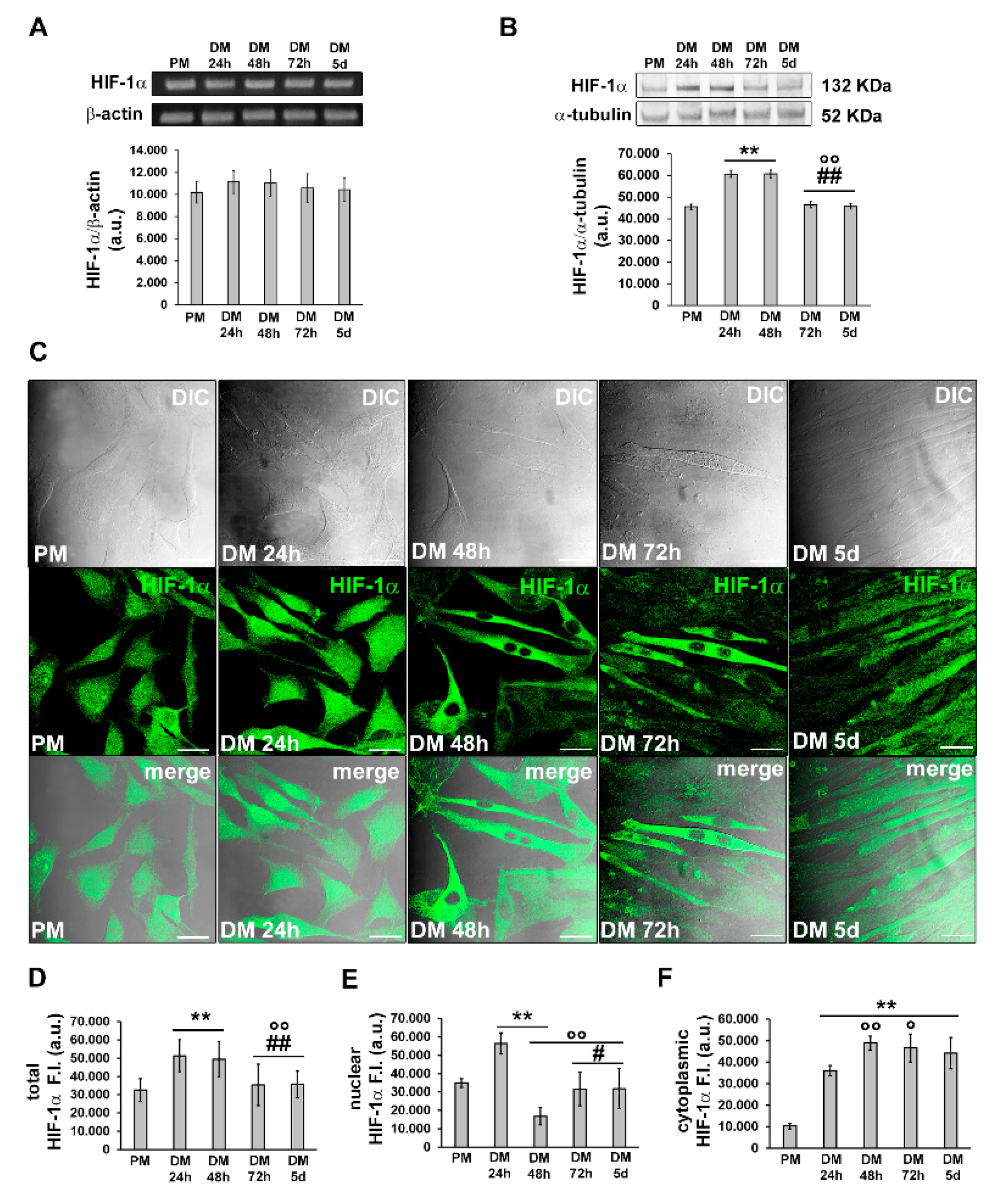 Cells 12 02851 g003
