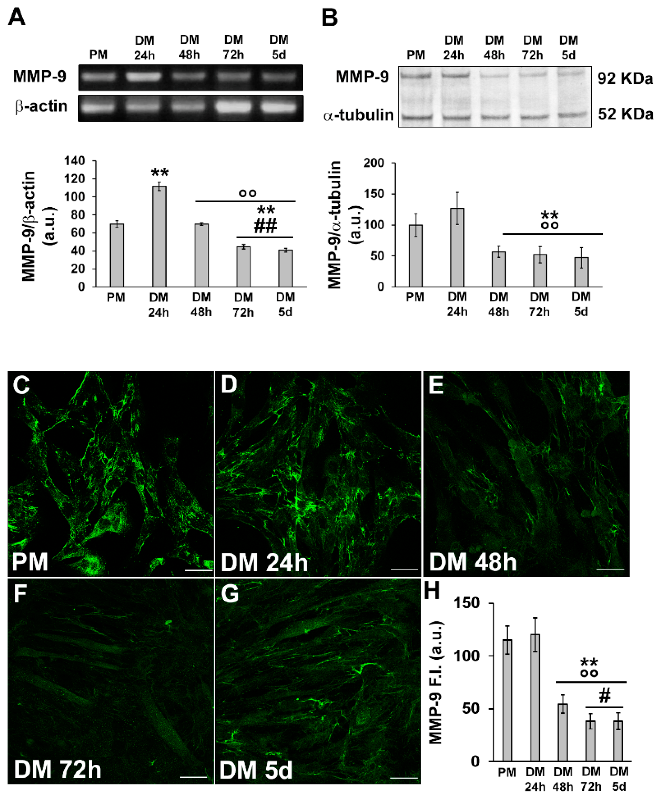 Cells 12 02851 g004