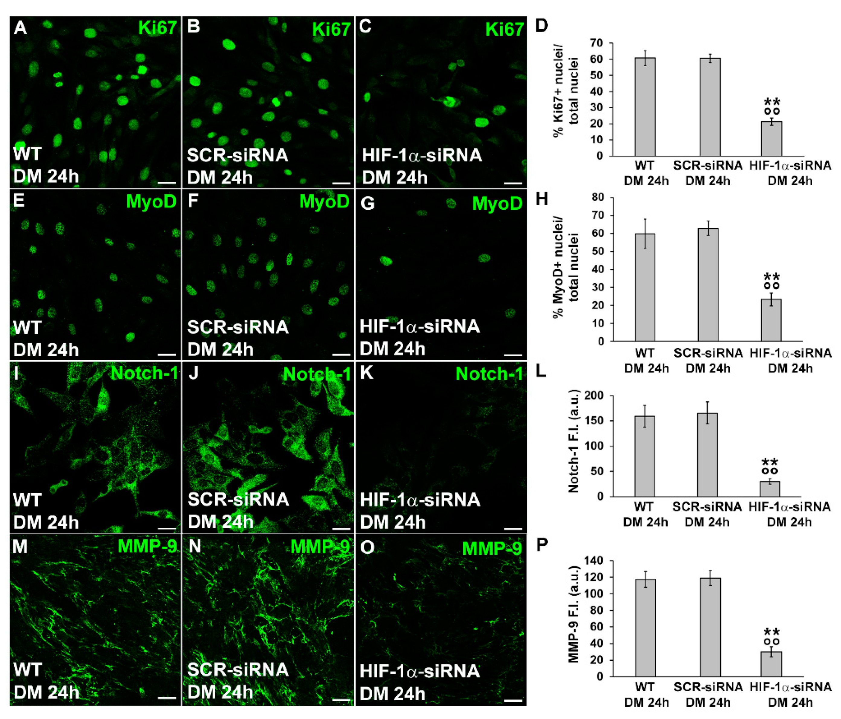 Cells 12 02851 g007